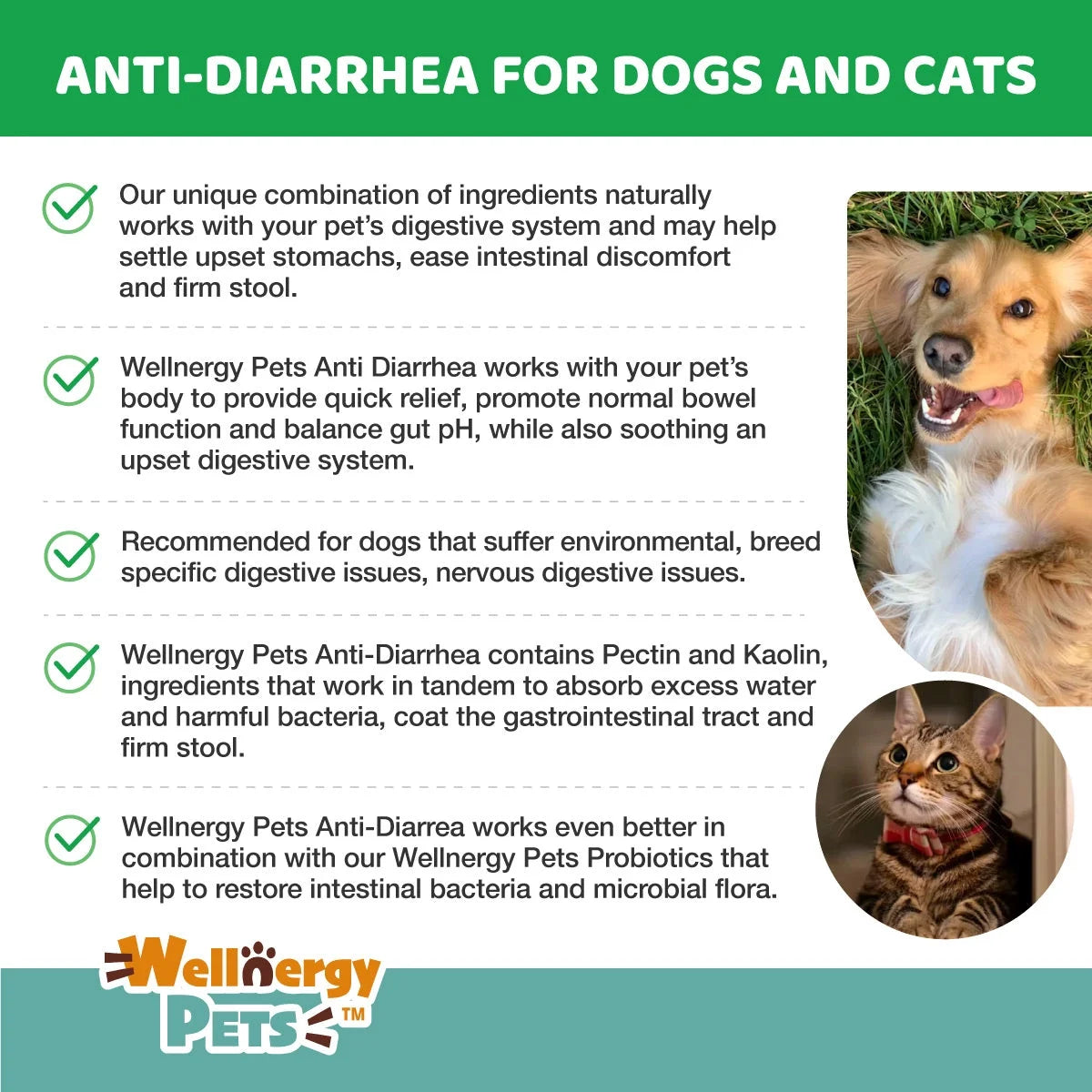 Anti-Diarrhea for Dogs and Cats, 4 Oz, Upset Stomach Relief