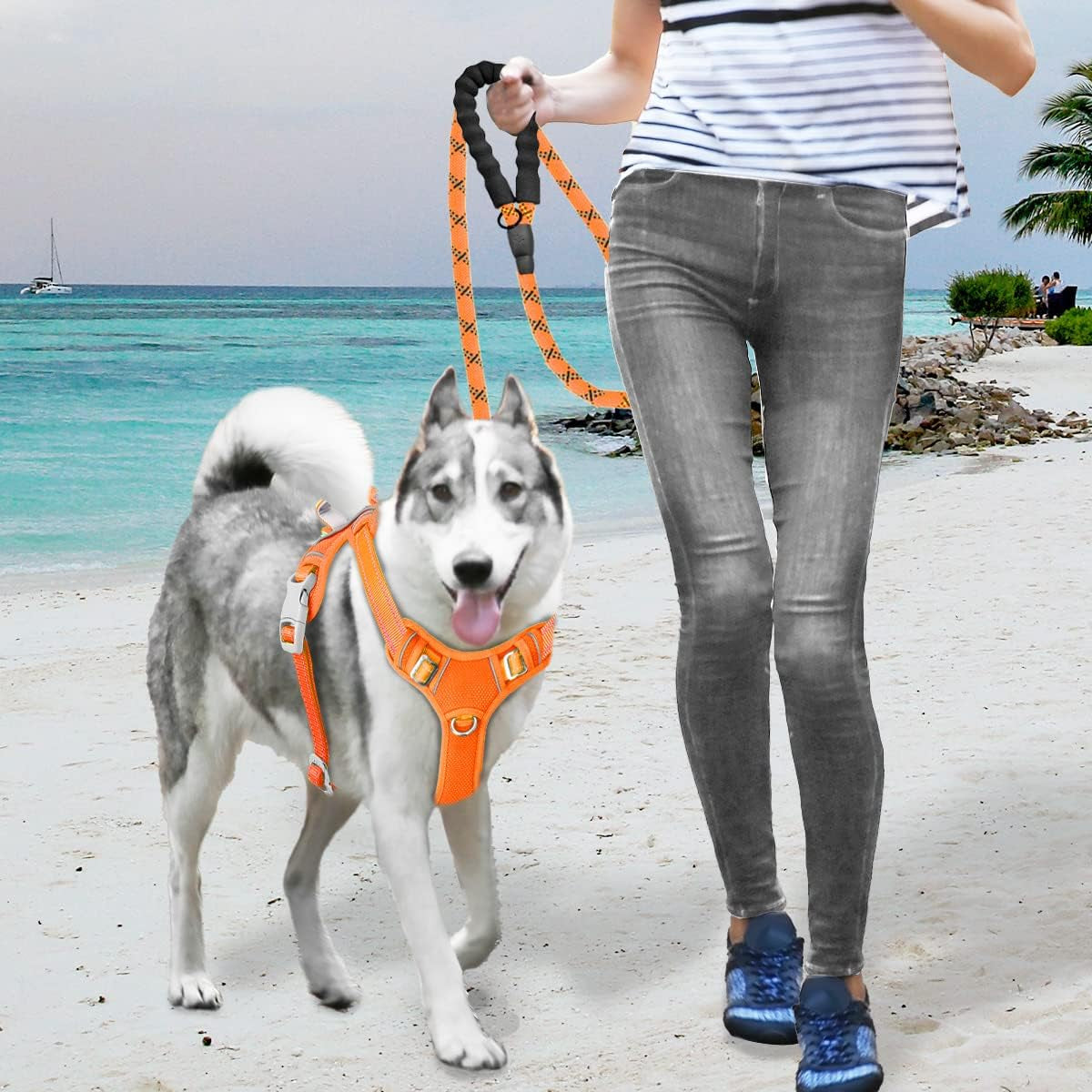 No Pull Dog Harness Large Reflective Dog Harness with Front Clip and Easy Control Handle for Walking Training Running with ID Tag Pocket(Orange,S)