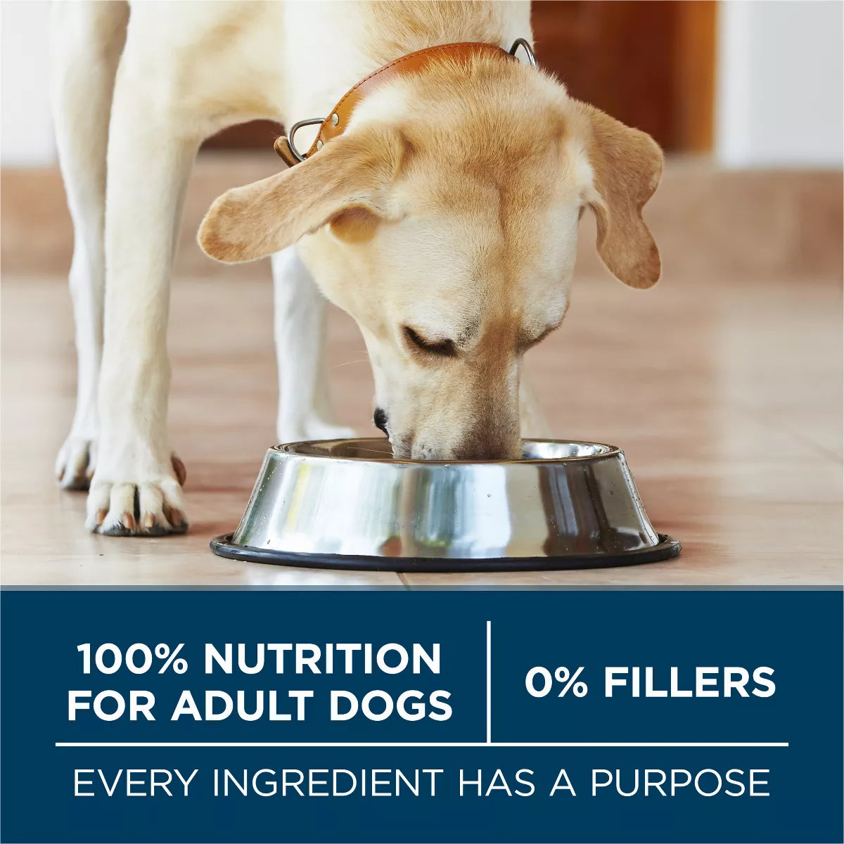 Purina ONE Smartblend Large Breed Chicken Flavor Natural Dry Dog Food