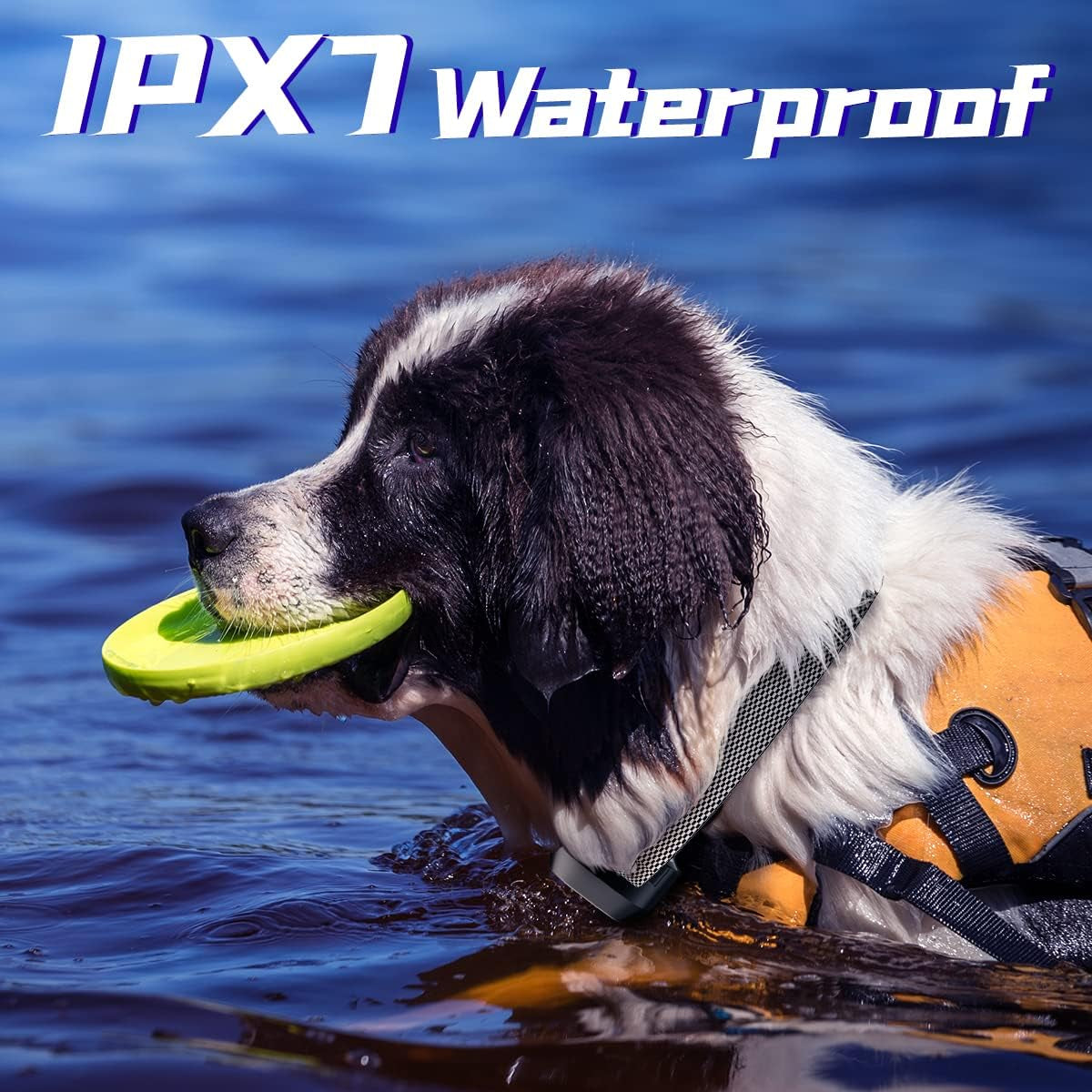 Dog Training Collar with 3300Ft Remote Range 4 Training Modes Rechargable IPX7 Waterproof Electric Dog Collar with Remote for Large Medium Small Dogs