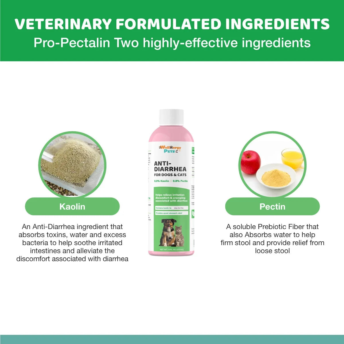 Anti-Diarrhea for Dogs and Cats, 4 Oz, Upset Stomach Relief
