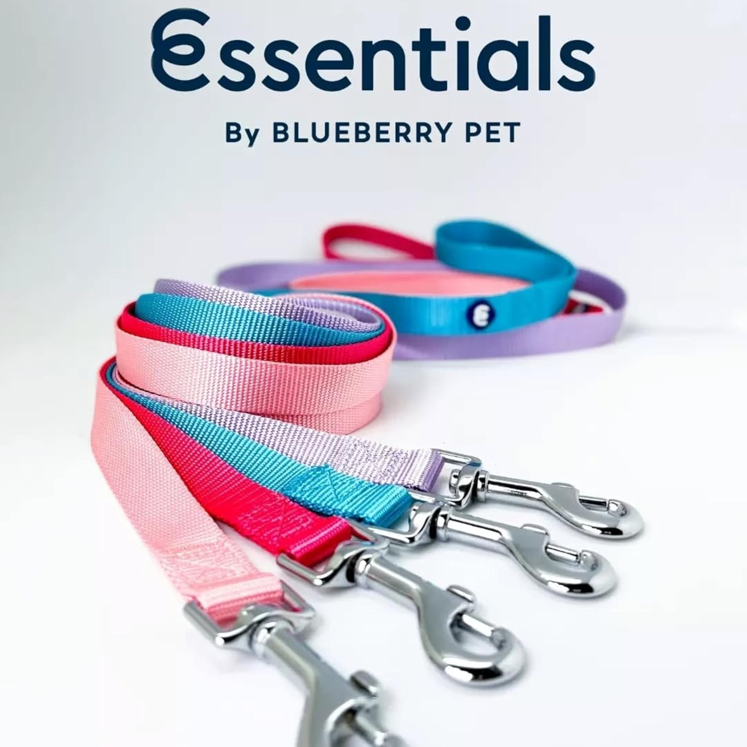 Essentials Mint Blue Dog Leash for Small -5' * 5/8" Dogs | Heavy Duty Nylon Lead | Lightweight Puppy & Cat Leash for Walking & Training