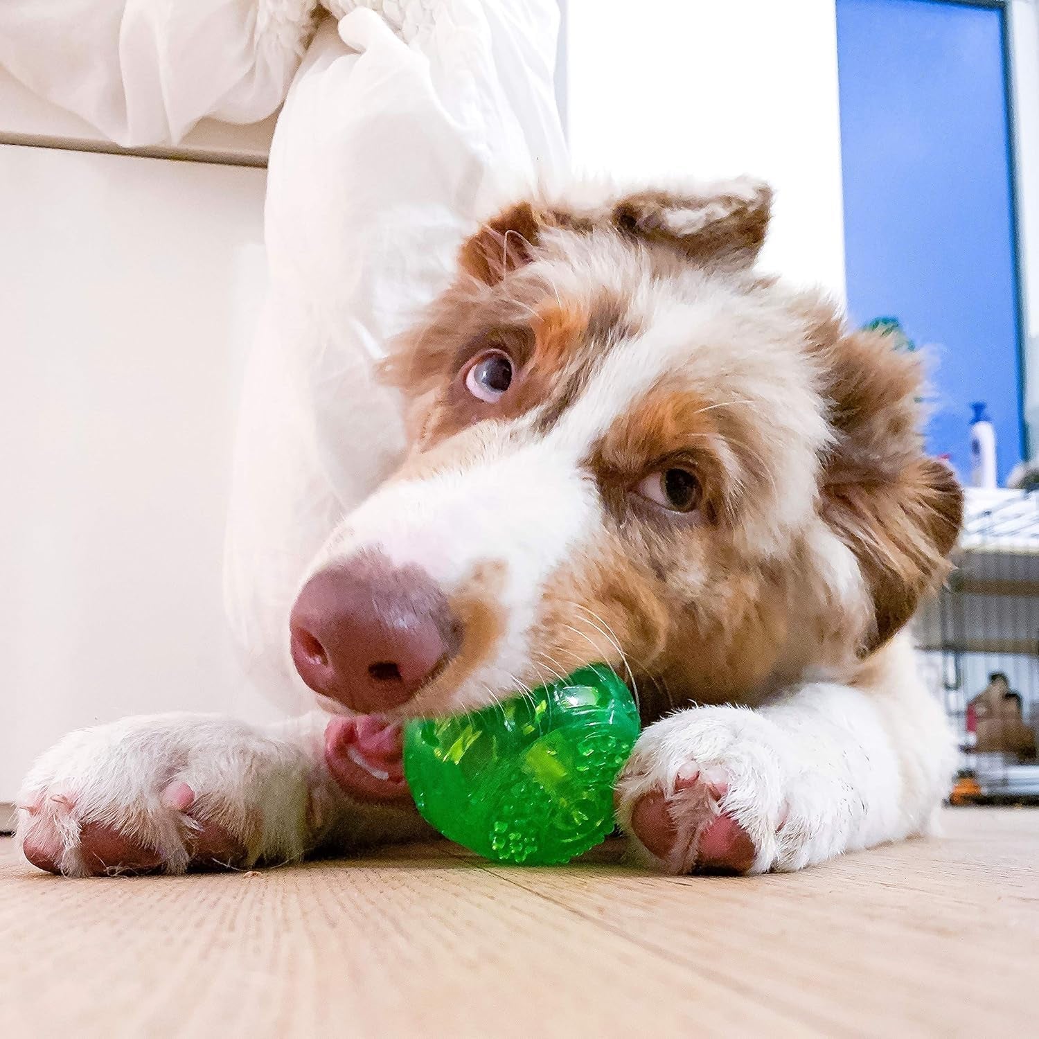 Durasqueak Dog Ball Toy, Interactive, Floats, Squeaks, Dog Balls for Fetching, Alternative to Traditional Tennis Balls - for All Breeds