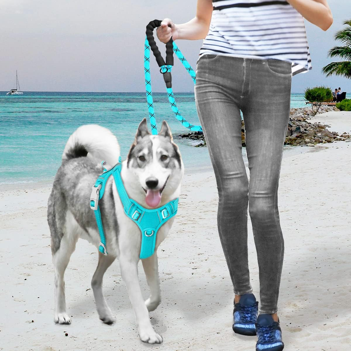 No Pull Dog Harness Large Reflective Dog Harness with Front Clip and Easy Control Handle for Walking Training Running with ID Tag Pocket(Ocean Blue,Xl)