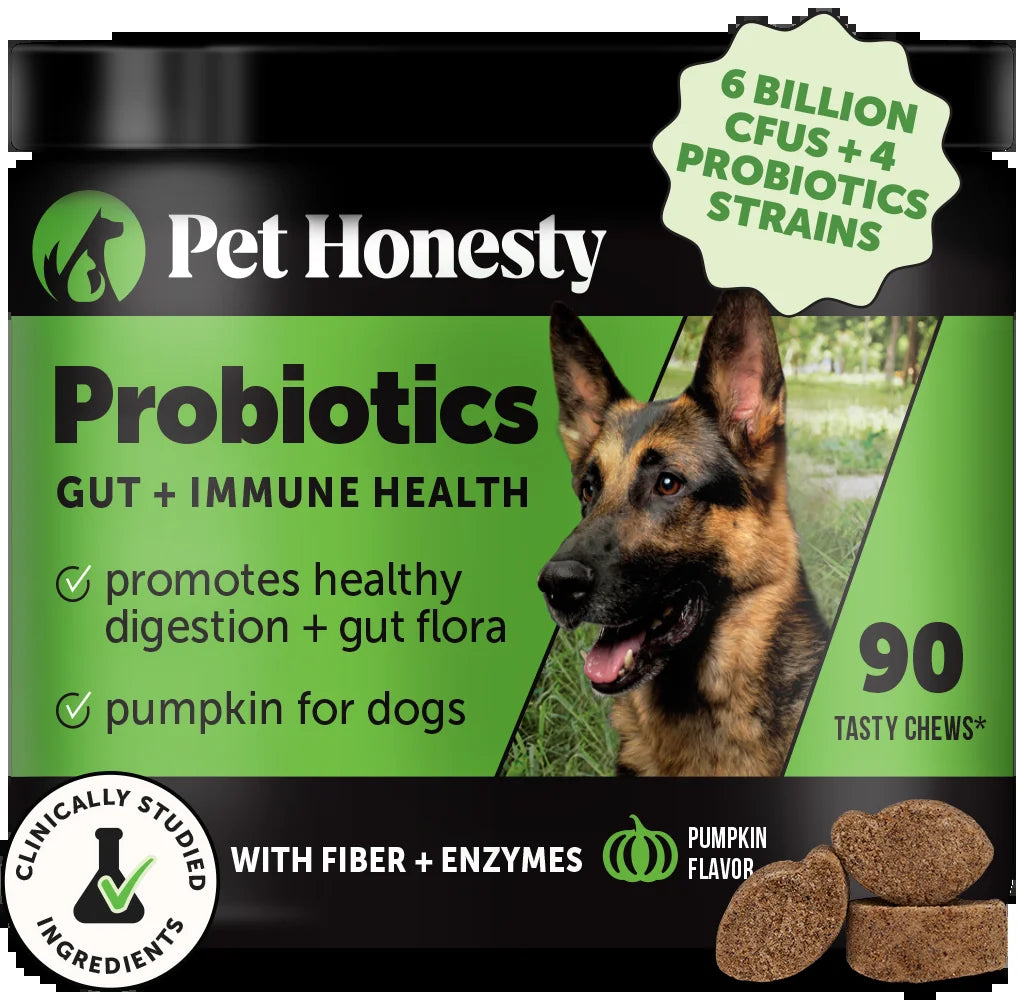 Gut + Immune Health Digestive Probiotic Chews for Dogs (Pumpkin Flavor)