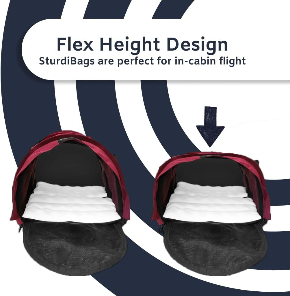 Divided Sturdibag Large Pet Carrier: Compartment for 2 Pets, Flexible Height for Cat and Dog Soft Sided with Safety Clips and Seatbelt Straps | Black, 18" X 12" X 12" (PN: SB2D-PRO-BL)