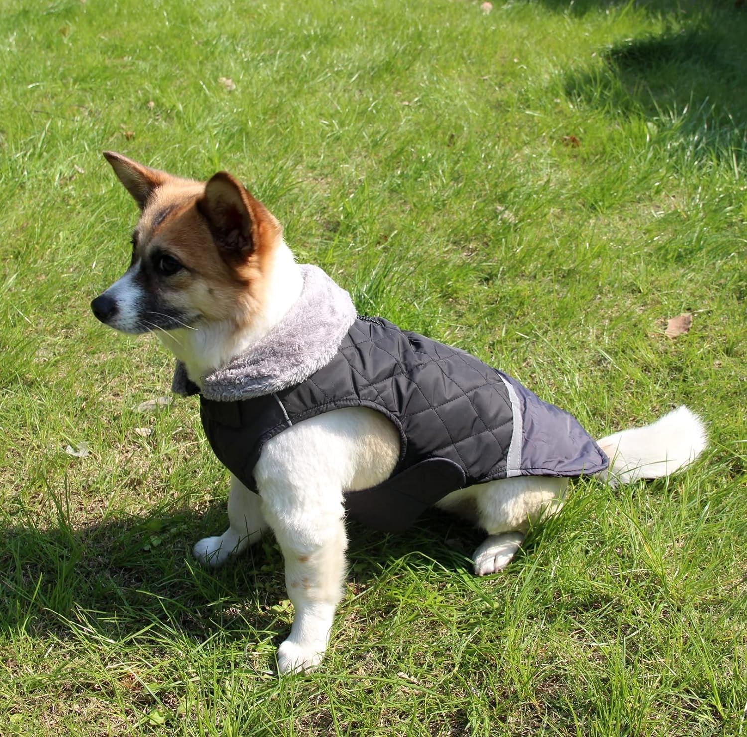 Fleece Collar Reversible Dog Coats for Small Dogs Waterproof Warm Puppy Jacket for Cold Winter,Black S
