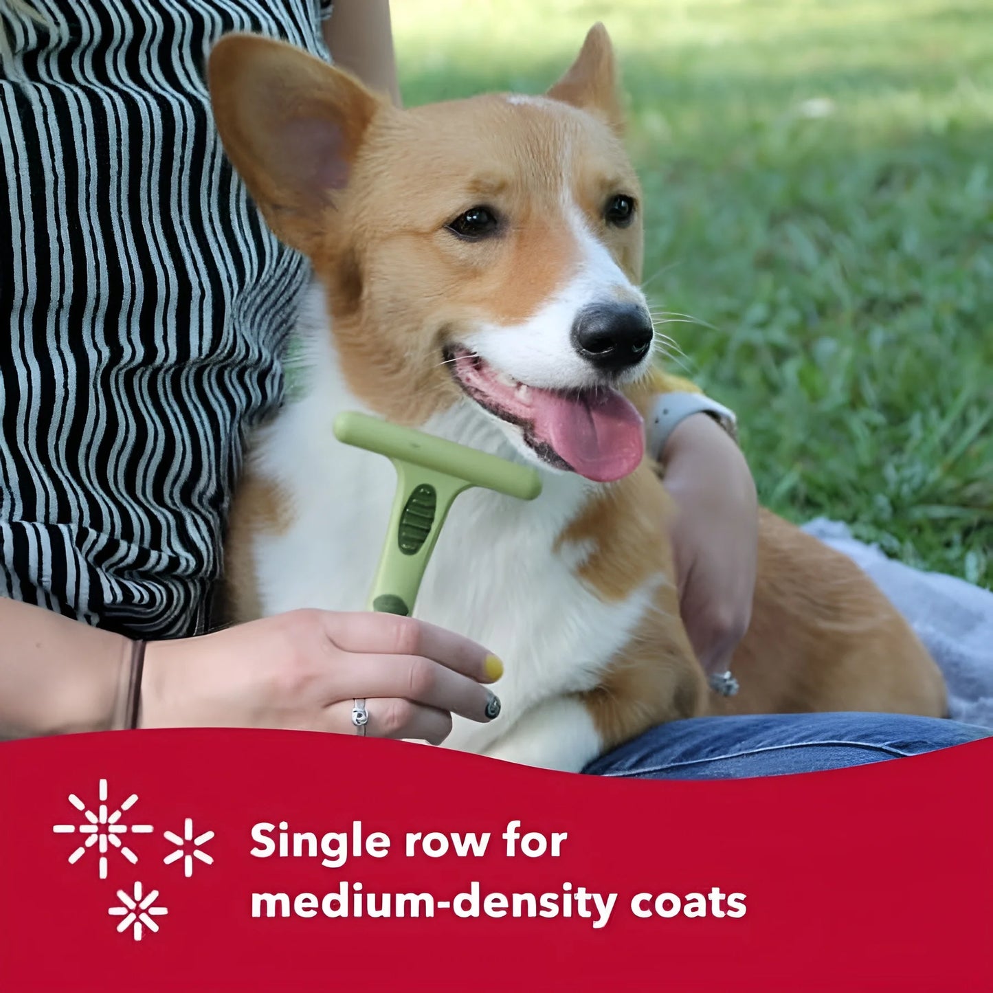 Safari Dog Single Row Undercoat Rake - Undercoat Brush for Dogs with Medium and Long Hair - Dog Detangler Comb and Dematting Brush - Single Row