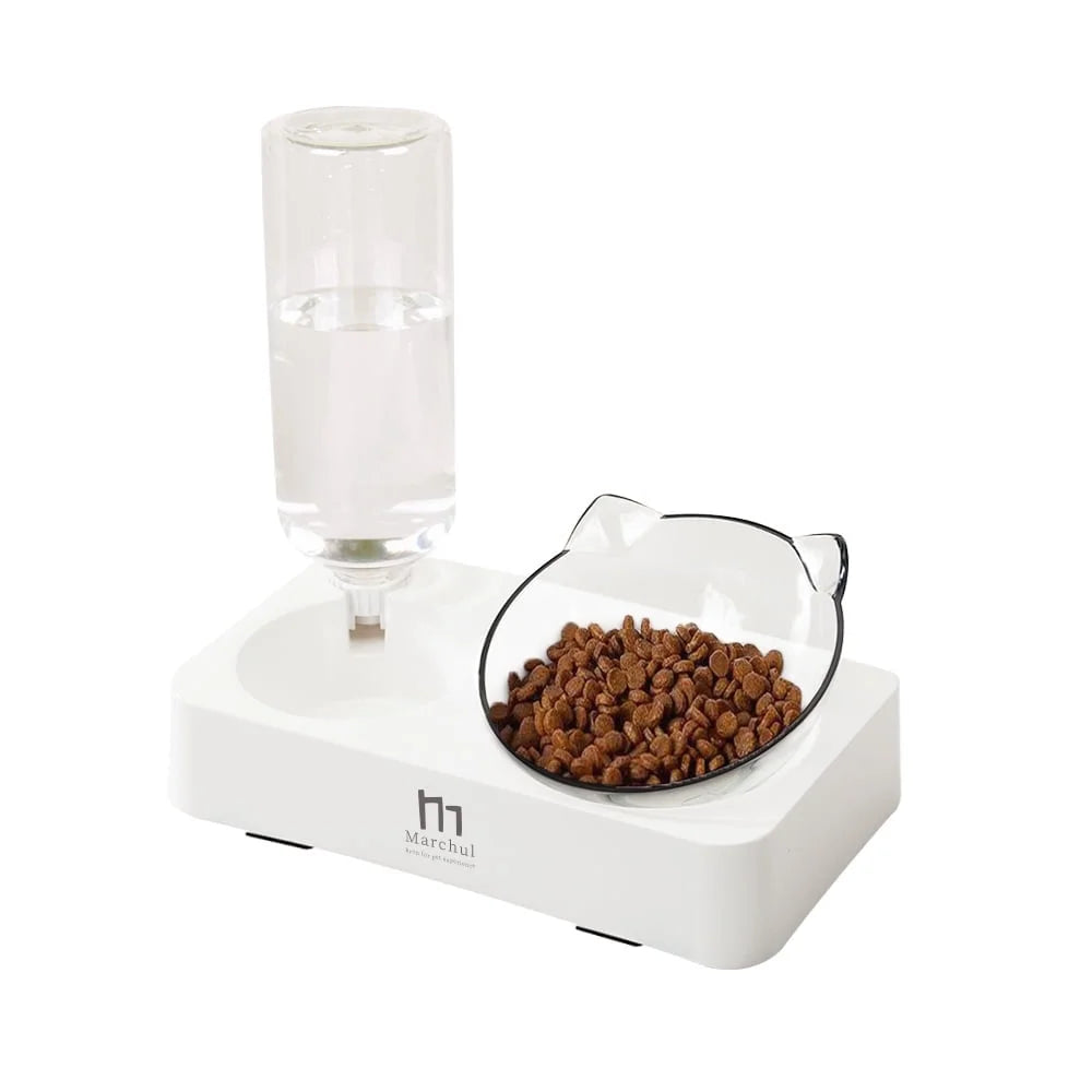 Tilted Cat Bowl Set for Food and Water, Food Feeding Raised Dishes for Puppies