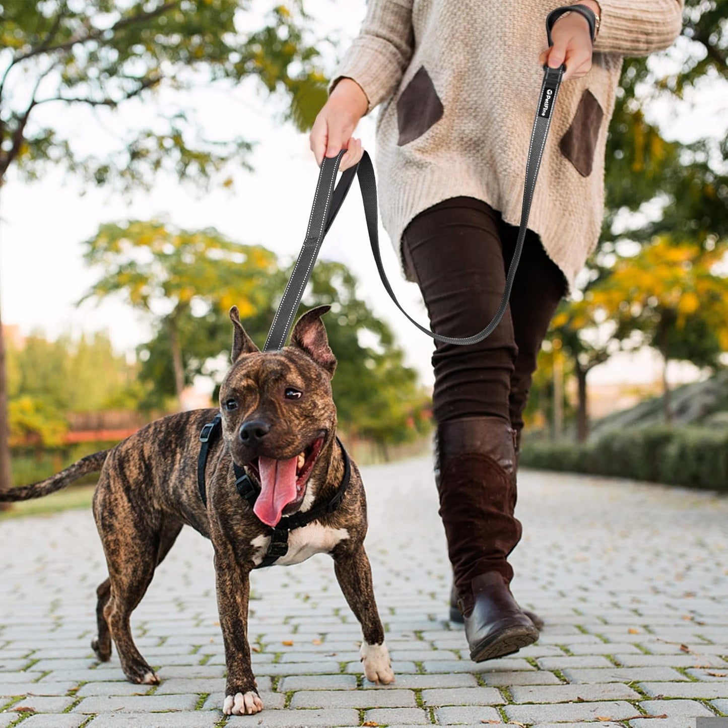 6FT Heavy Duty Dog Leash with Soft Padded Double Handle, Durable Strong Clasp Dog Leashes, Reflective Nylon Walking Lead for Large,Medium,Small Breed Dogs, Black