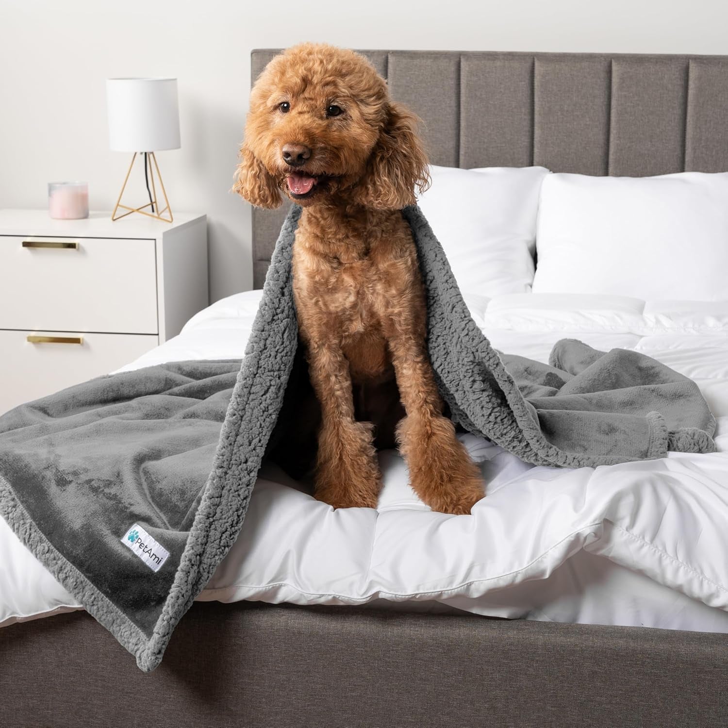 Waterproof Dog Blanket for Queen Bed Large XL Dog Throw for Couch Cover Leakproof Furniture Protection, Sherpa Fleece, Reversible Soft Washable 90X90 Light Gray