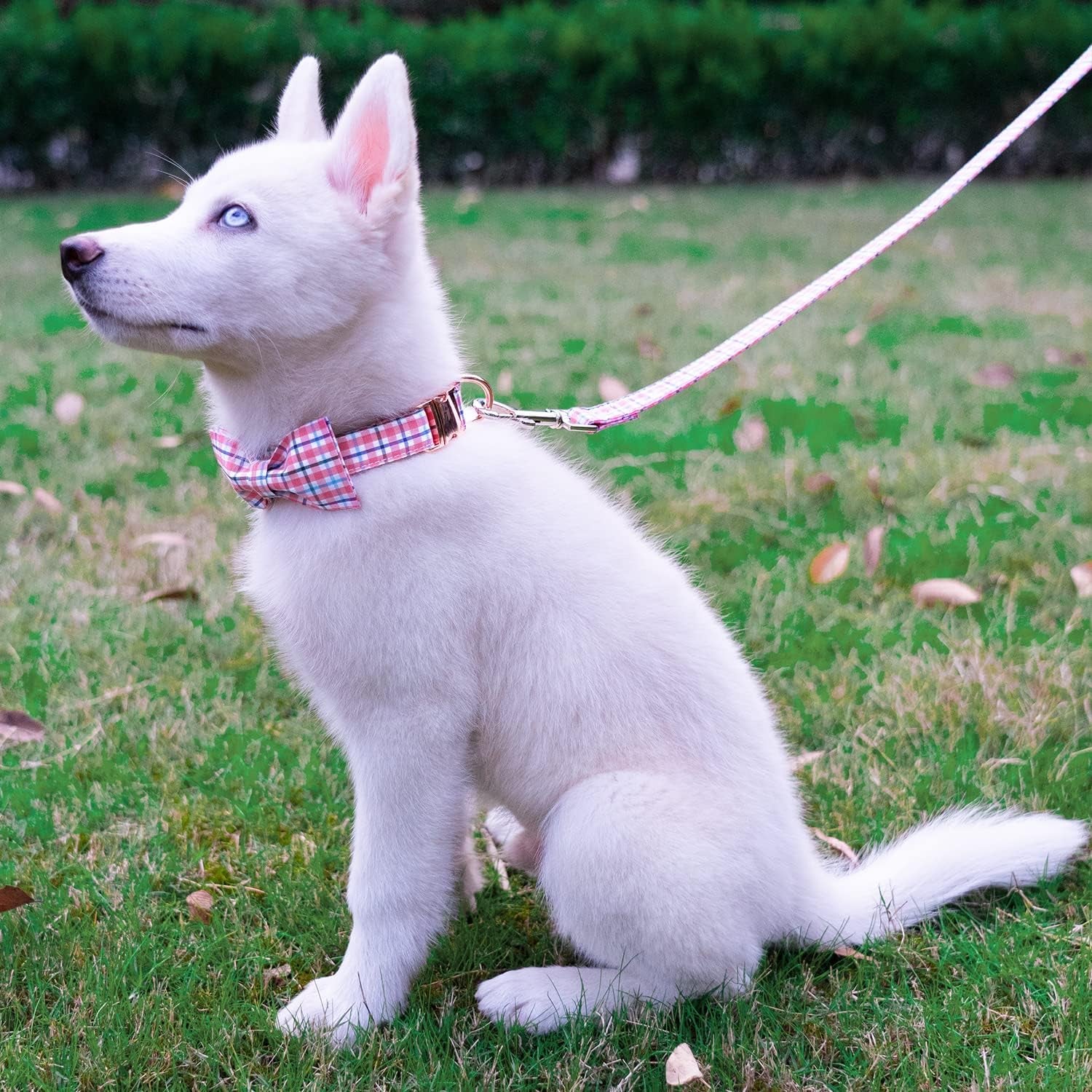 Dog Collar with Bow Tie Elegant Plaid Soft Comfy Cotton Adjustable Collar Premium Metal Buckle,Small Medium Large Puppy Cat Outdoor Training Walking Running（Pink Grid，S）