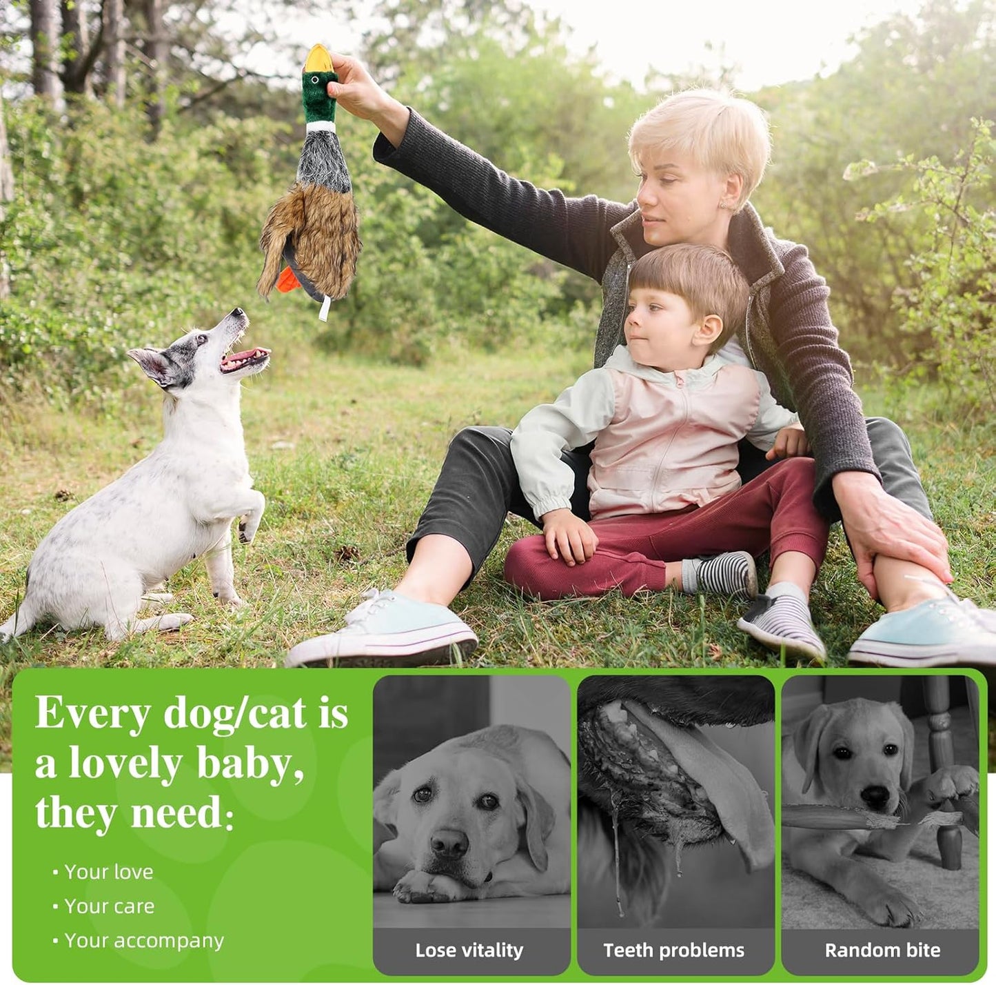 Squeaky Dog Toy for Puppy Dogs Toys to Keep Them Busy Mallard Duck Stuffed Dog Toys for Medium Small Dogs, 9" Wild Duck