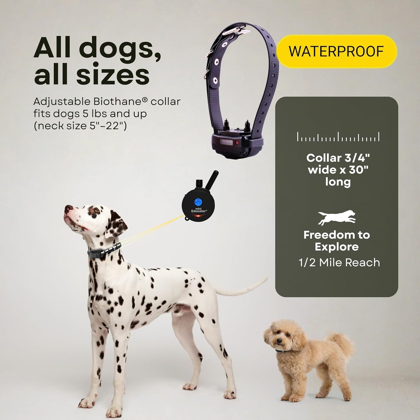 E-Collar ET-300 / ET-302 Dog Training Collar System with Remote - 1/2 Mile Range - Waterproof, Vibration, Sensation - Includes Eoutletdeals Pet Towel (1 Dog System - ET-300 Black)