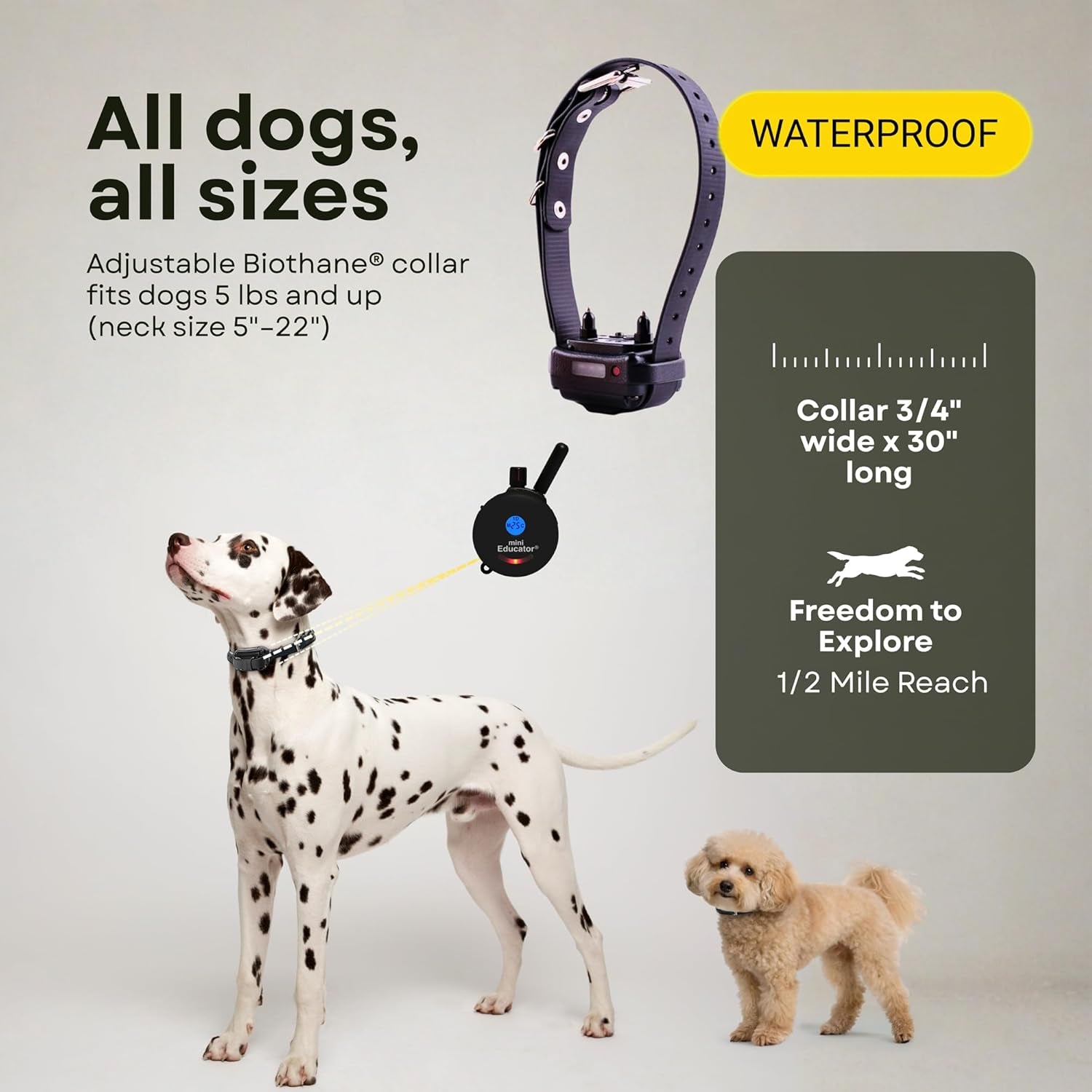 E-Collar ET-300 / ET-302 Dog Training Collar System with Remote - 1/2 Mile Range - Waterproof, Vibration, Sensation - Includes Eoutletdeals Pet Towel (1 Dog System - ET-300 Black)
