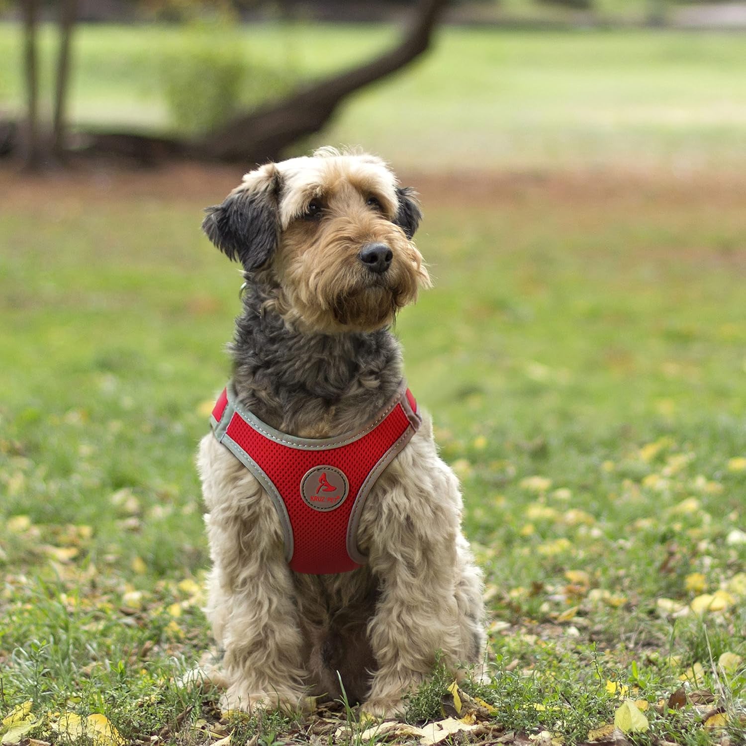 Kruz Dog Harness (Chest 14.5"-15.5", Weight 6–10 Lbs) Athletica Adjustable Heavy Duty No Choke Puppy Vest for Small Dogs Lightweight Air Mesh, Reflective, Puppy Essentials – Blue, Small