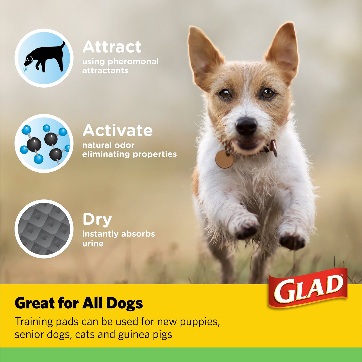 (4 Pack)  Giant Size Activated Charcoal Leak-Resistant Training Pads for Dogs, 30X36, 24 Count