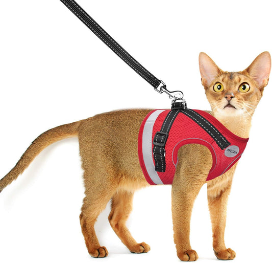 Cat Harness and Leash for Walking, Kitten Escape Proof Harnesses, Adjustable Reflective Puppy Harness with Leashes Set, Easy Adjustable Soft Net Breathable Pet Safety Vest