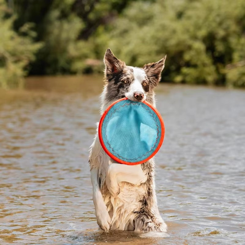 Paraflight Flying Disc Dog Toy Water Floating Flyer Durable Nylon Construction with Soft Rubber Edges for Medium and Large Dogs