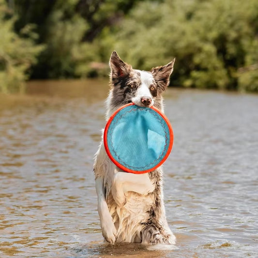 Paraflight Flying Disc Dog Toy Water Floating Flyer Durable Nylon Construction with Soft Rubber Edges for Medium and Large Dogs
