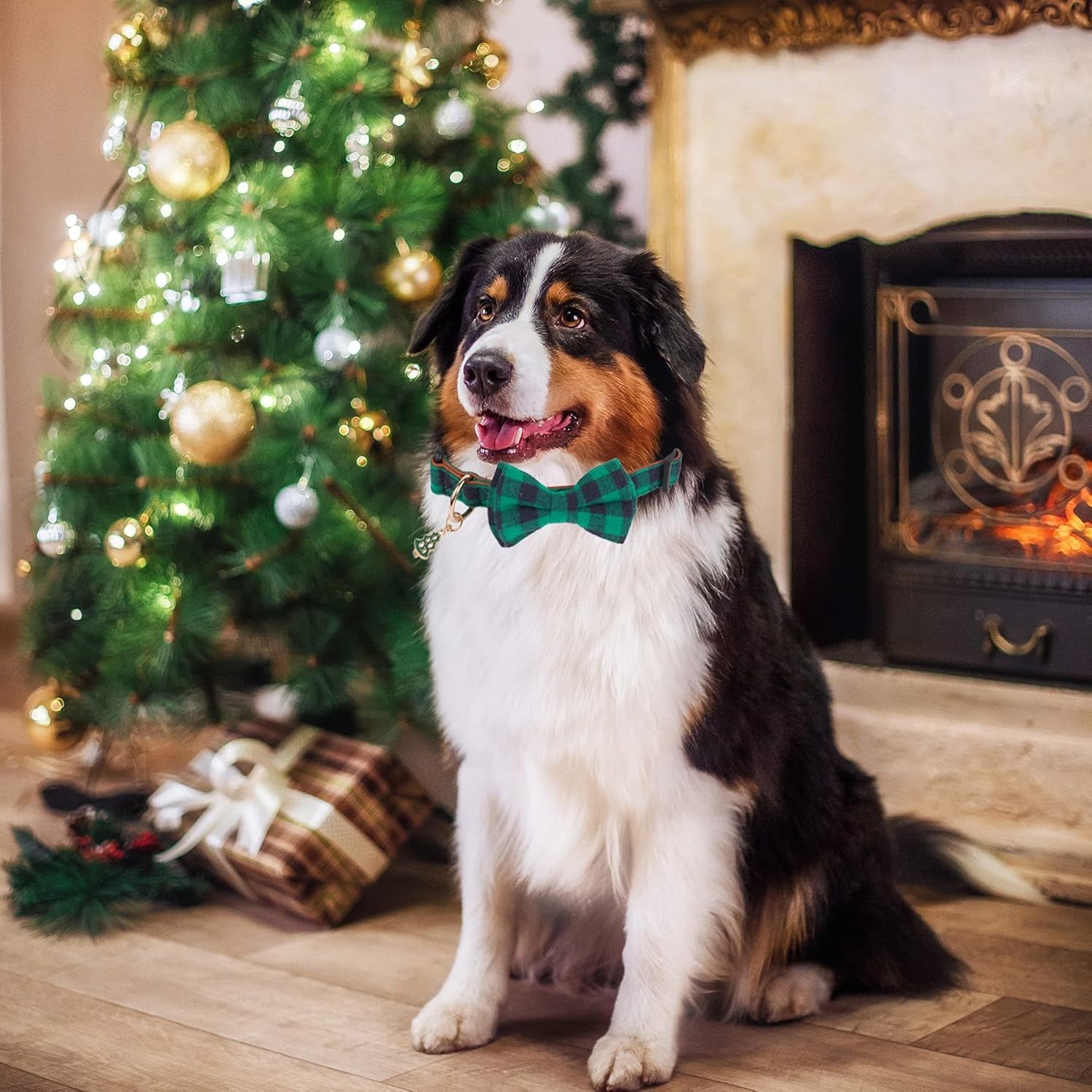 Christmas Dog Collar with Bow, Removable Bowtie, Adjustable Red Green Plaid Christmas Collars for Medium Large Dogs (Large)