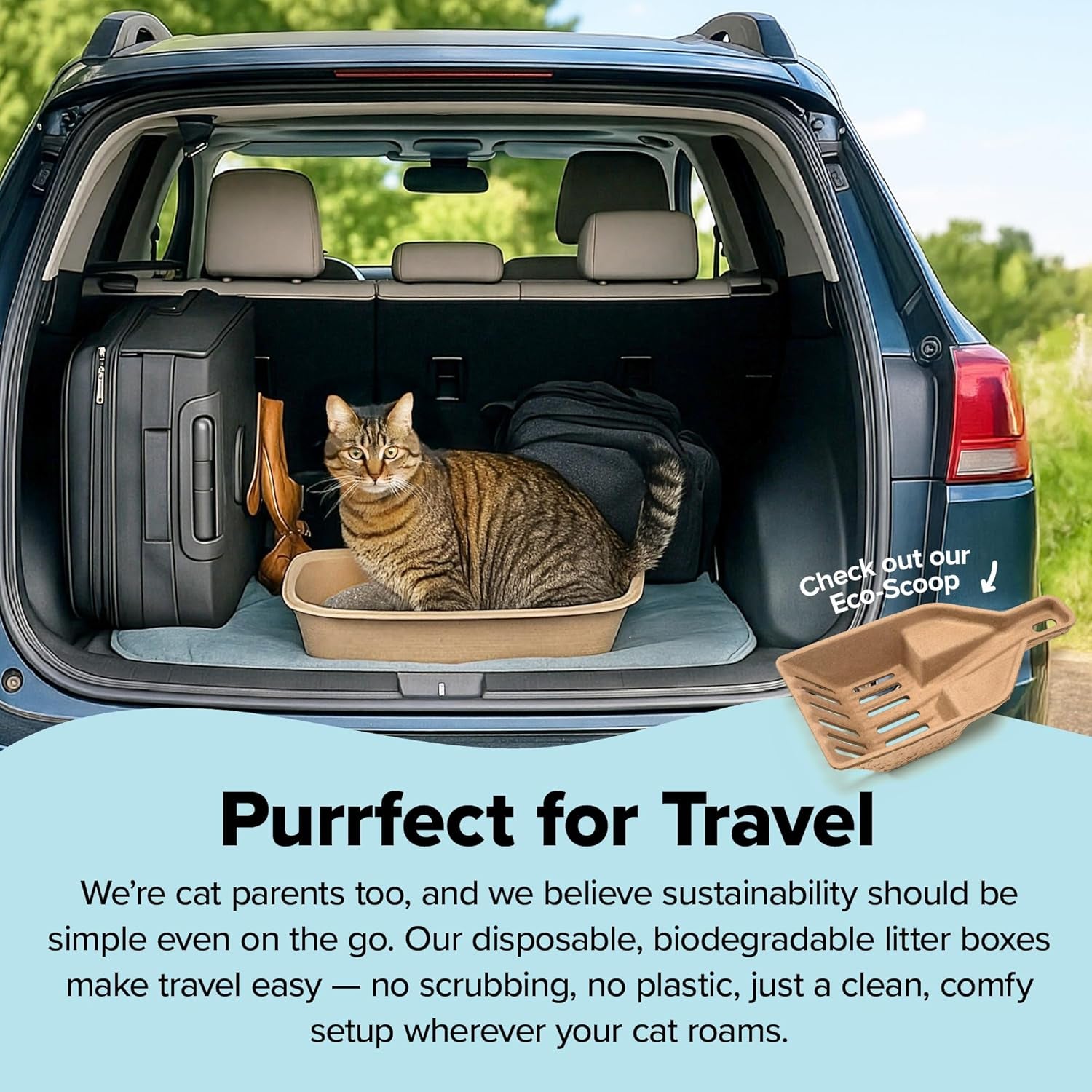 (Set of 1 Litter Box & 5 Sifting Liners) Disposable Sifting Cat Litter Box Large, 6 Count, Durable Portable for Travel and Home Odor Control