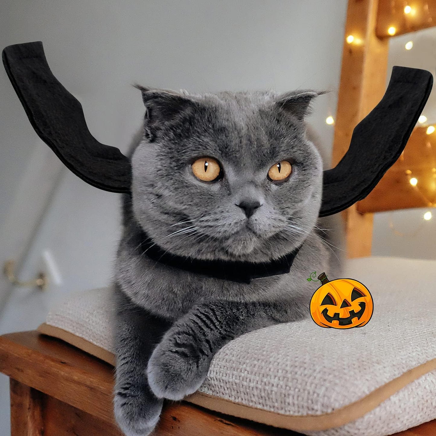 Bat Wings Pet Costume, Polyester Felt Cloth, Small, Halloween, Unisex, Durable, Easy to Clean, Bat Wings Costume for Small Dogs Cats