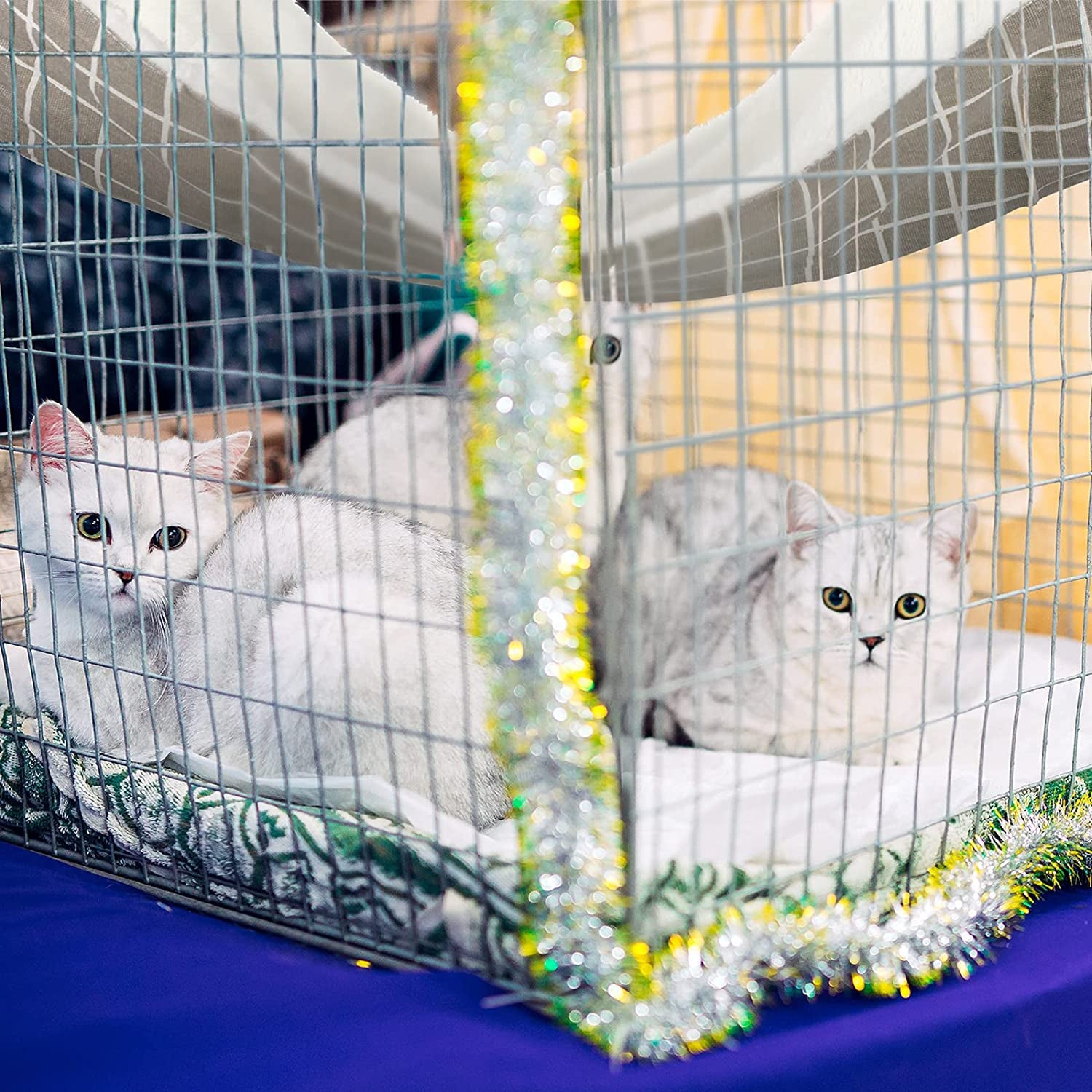 2 Pieces Reversible Cat Hanging Hammock Soft Breathable Pet Cage Hammock with Adjustable Straps and Metal Hooks Double Sided Hanging Bed for Small Dogs Rabbits(Cat and Plaid,S)
