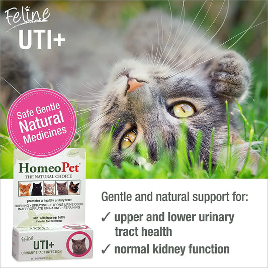 Feline UTI plus Urinary Tract Health Supplement Solution for Cats, 15-Milliliter Bottle