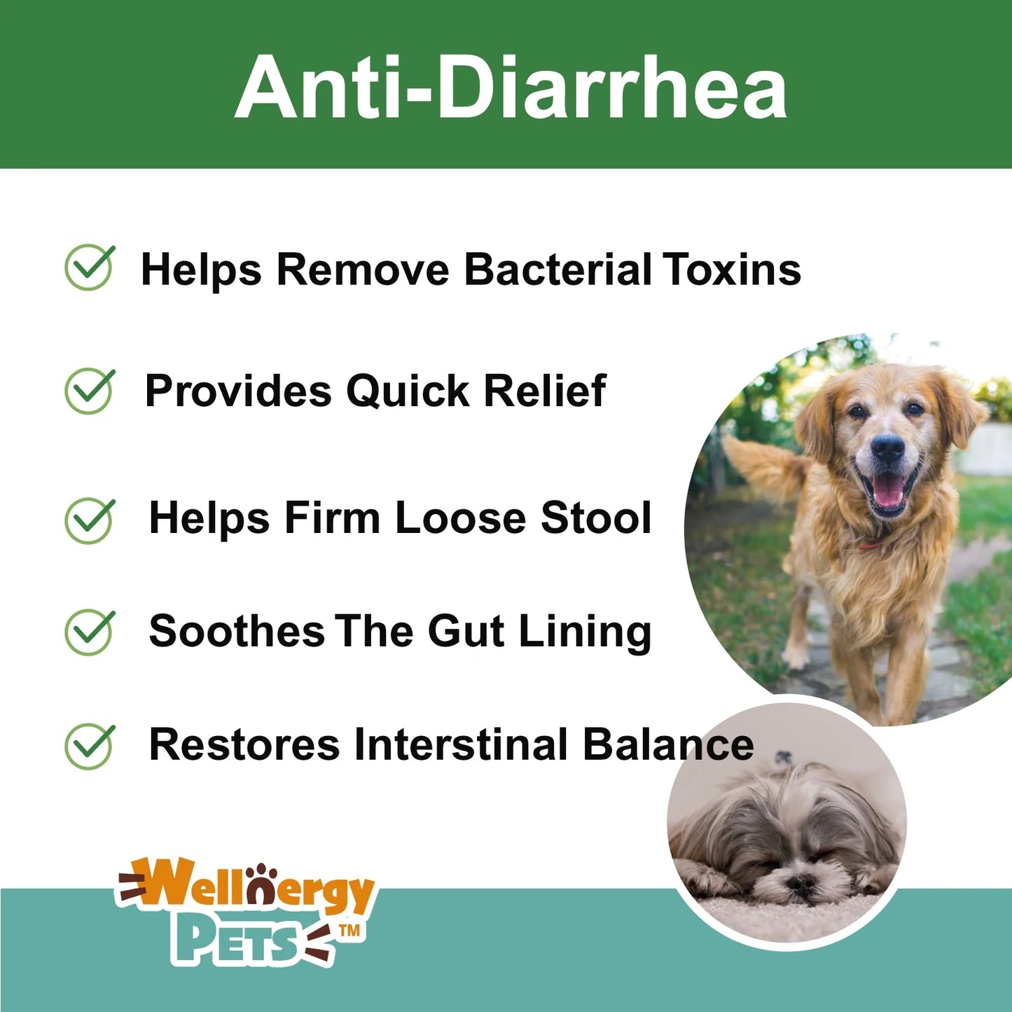 Anti-Diarrhea for Dogs and Cats, 4 Oz, Upset Stomach Relief