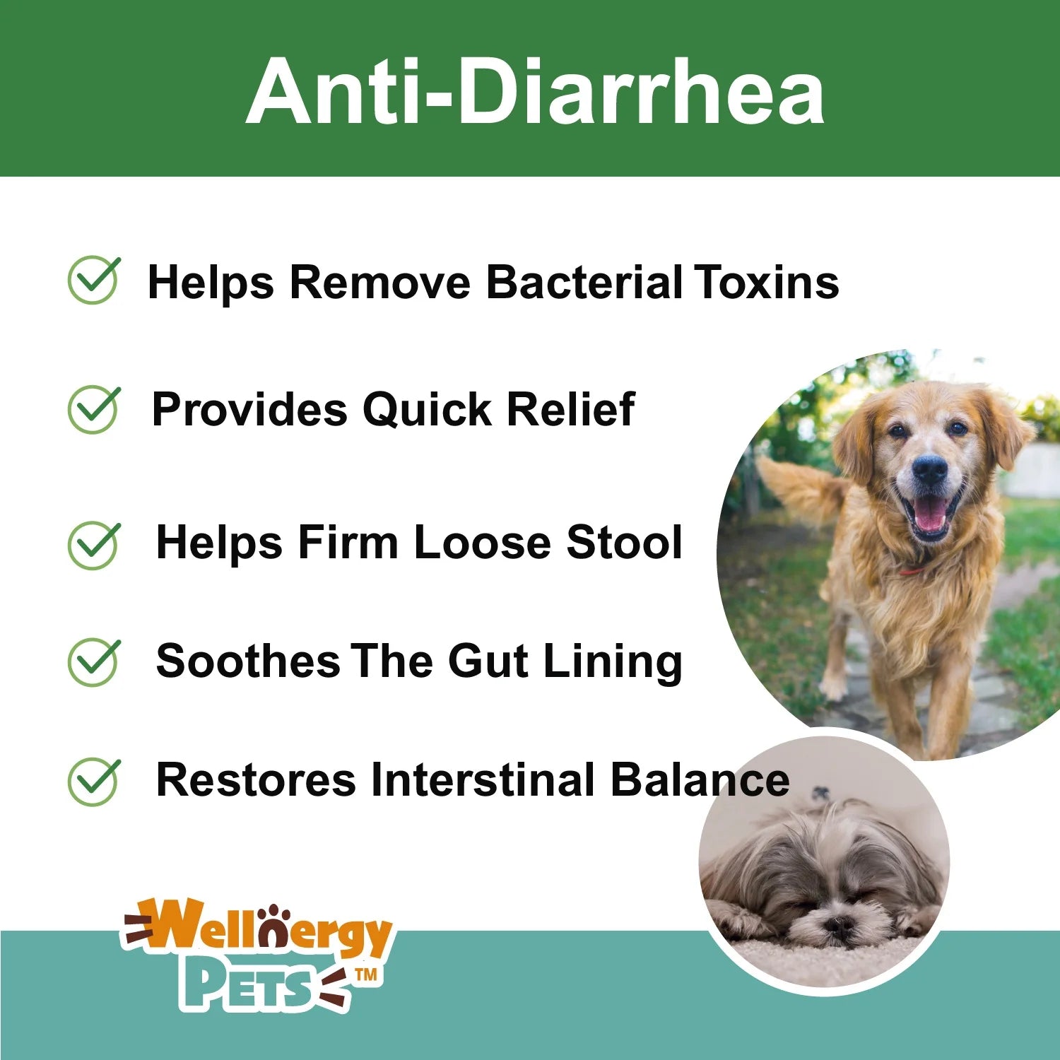 Anti-Diarrhea for Dogs and Cats, 4 Oz, Upset Stomach Relief