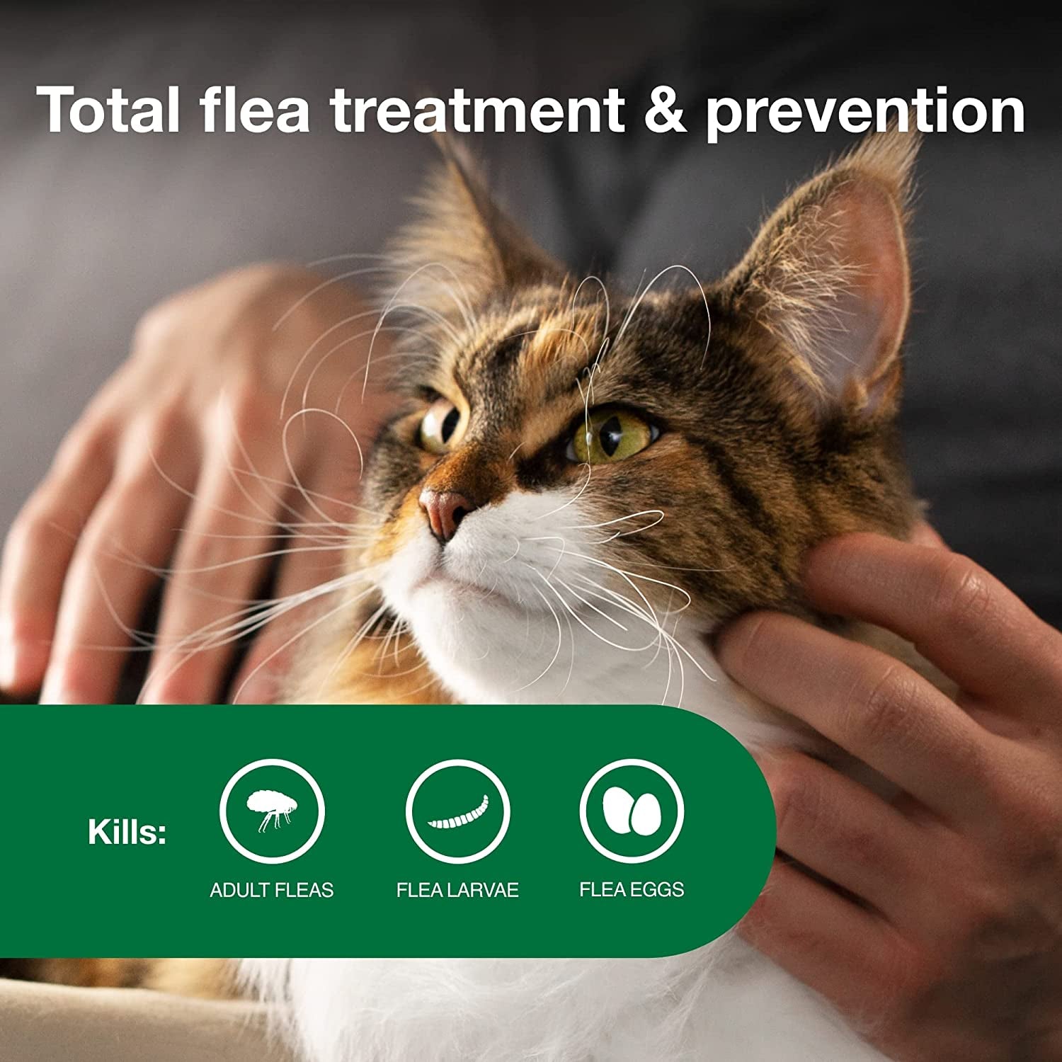 II Large Cat Vet-Recommended Flea Treatment & Prevention | Cats over 9 Lbs. | 4-Month Supply