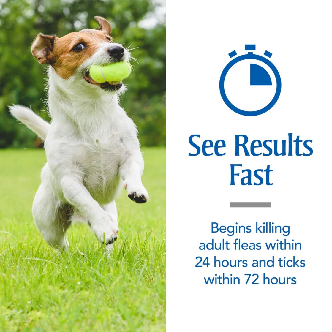 Flea & Tick Treatment for Small Dogs, 5 to 22 Lbs, 3 Monthly Applications
