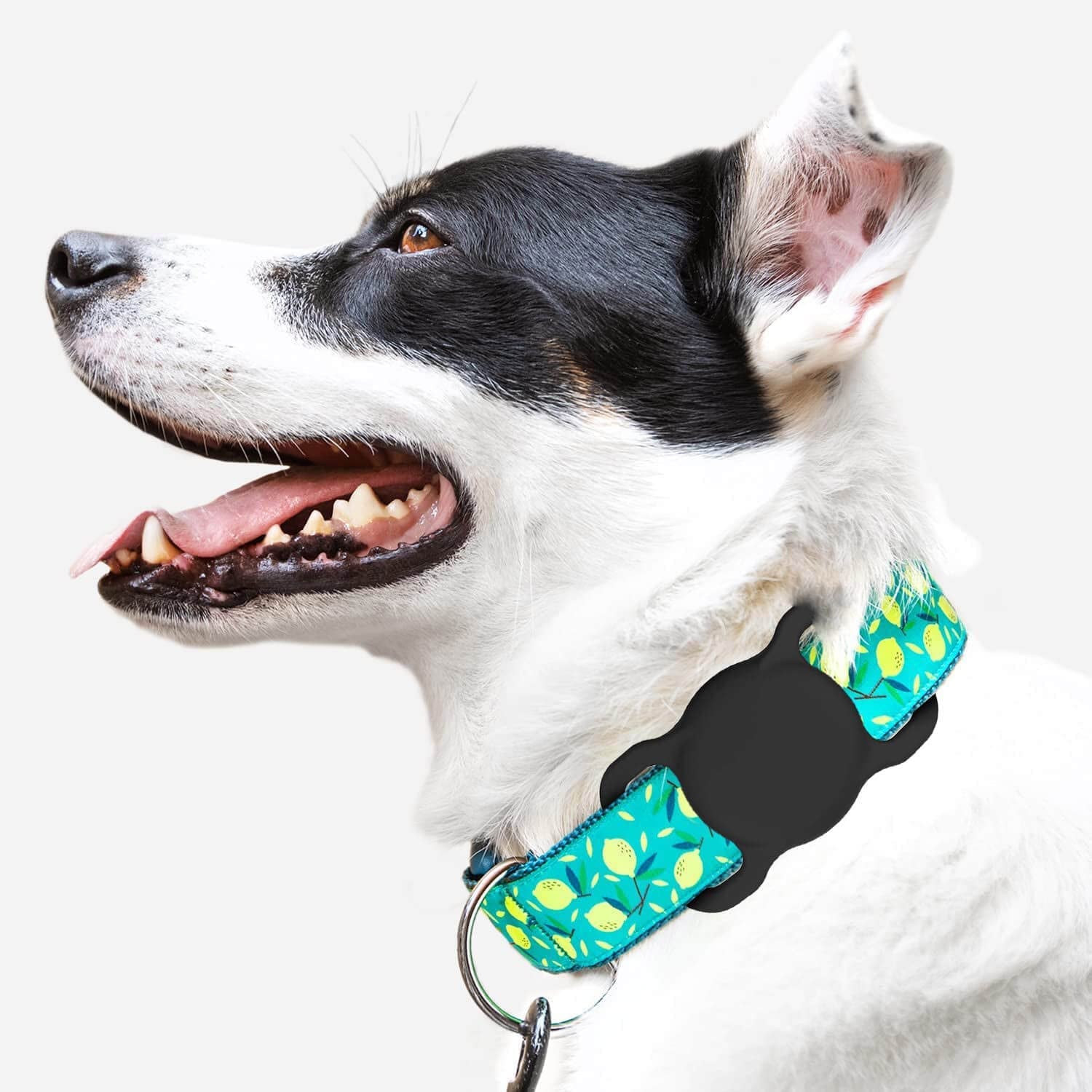 for Airtag Dog Collar Holder [2 Pack] Waterproof High-Strength Elastic Silicone Dog Cat Air Tag Holder, (Black&White)