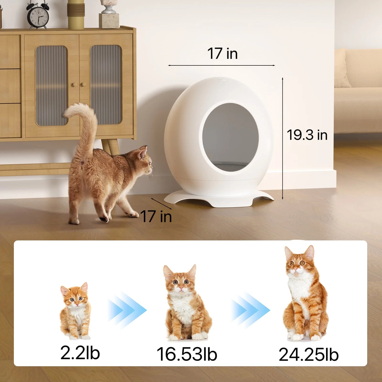 Heated Cat Bed for Large Cats, Cat Warming Bed for Winter, Waterproof Washable Pet Cat Shelter, Cat Hideaway with Light & Sleep Music, Cat Houses for Indoor Cats