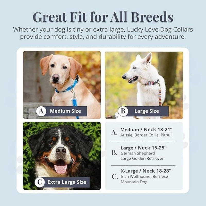 Wide Dog Collar - Adjustable, Durable, Soft Webbing, & Comfortable 1.5 Inch Wide Collar for Dogs Male and Female with Strong Buckle - Blackbird, Large