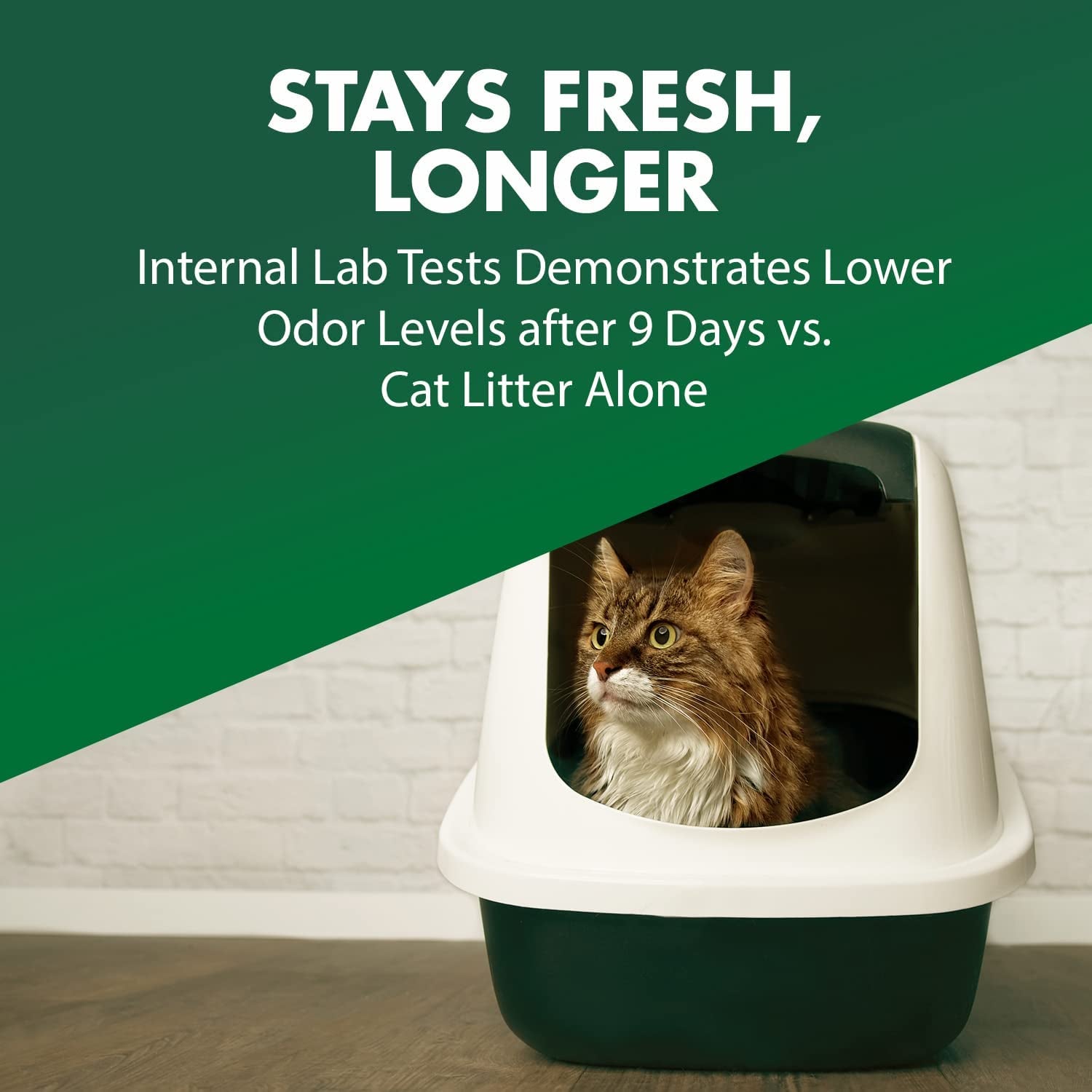 Cat Litter Deodorizer Double Duty, 20 Oz, 1 Pack