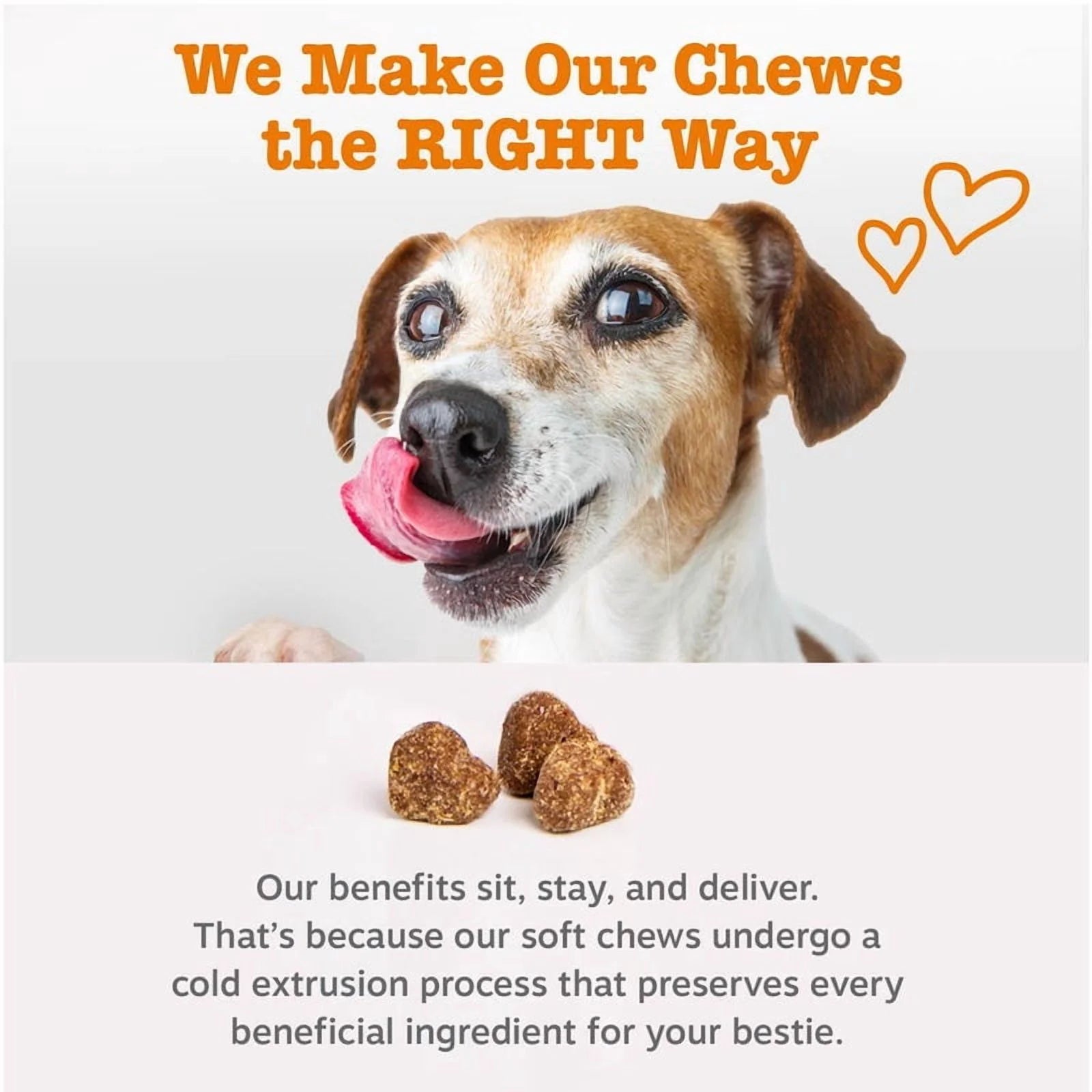 Vet Strength Pre, Post, & Probiotic Bites for Dogs, for Gut Health & Immune Support, Chicken Flavor, 90Ct