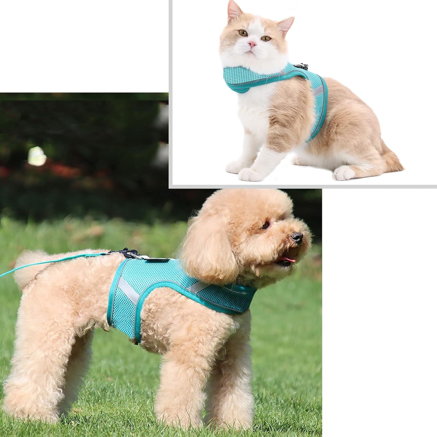 Small Dog Harness and Cat Harness, Step-In Puppy Harness with Dog Leash Set, No Pull Adjustable Reflective Soft Mesh Pet Outdoor Walking Vest Harness, S, Lake Blue