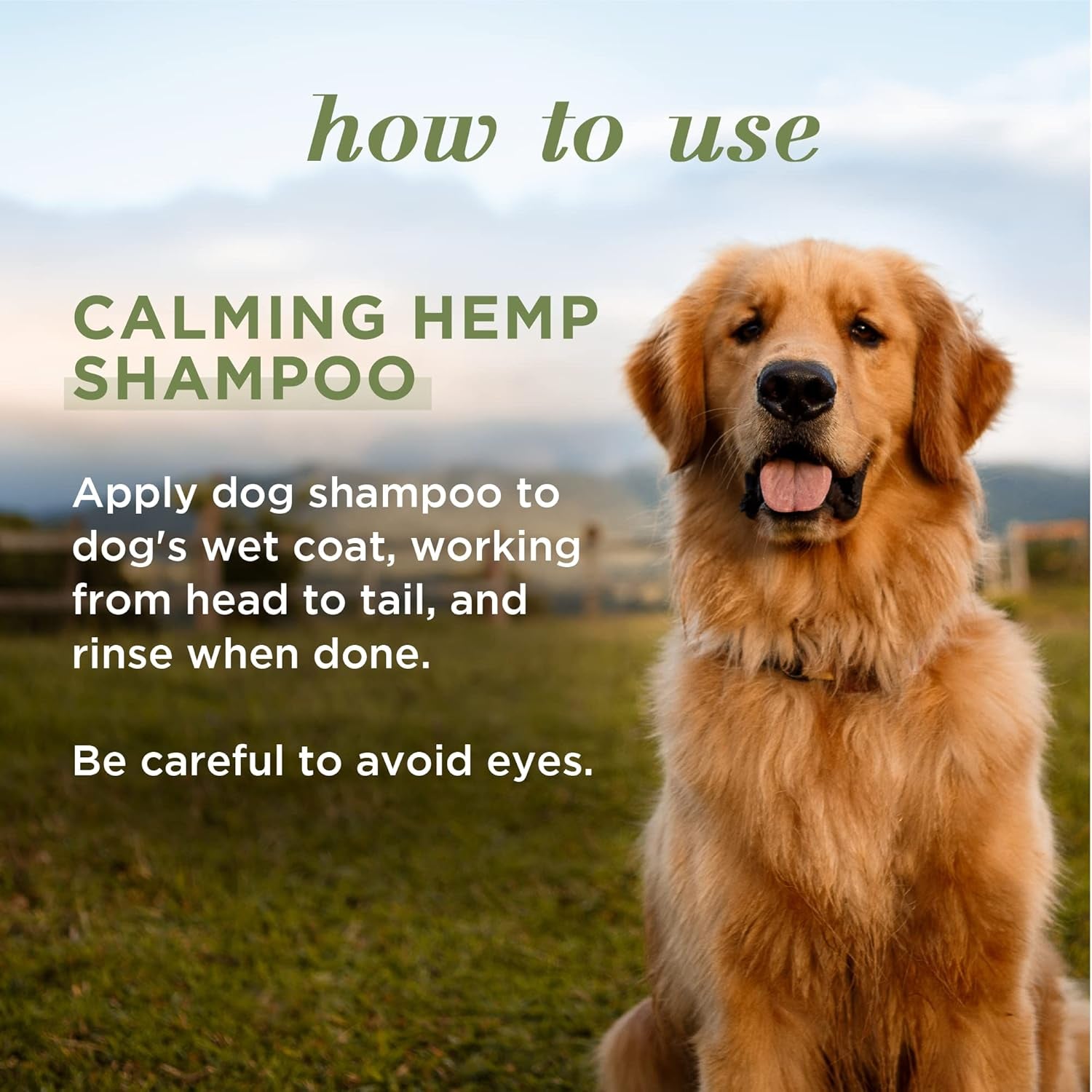 Calming Dog Shampoo with Hemp Seed Oil and Lavender, 95% Natural Origin Formulas, Soothing Lavender Shampoo for Dogs - Gentle Dog Wash 16 Oz