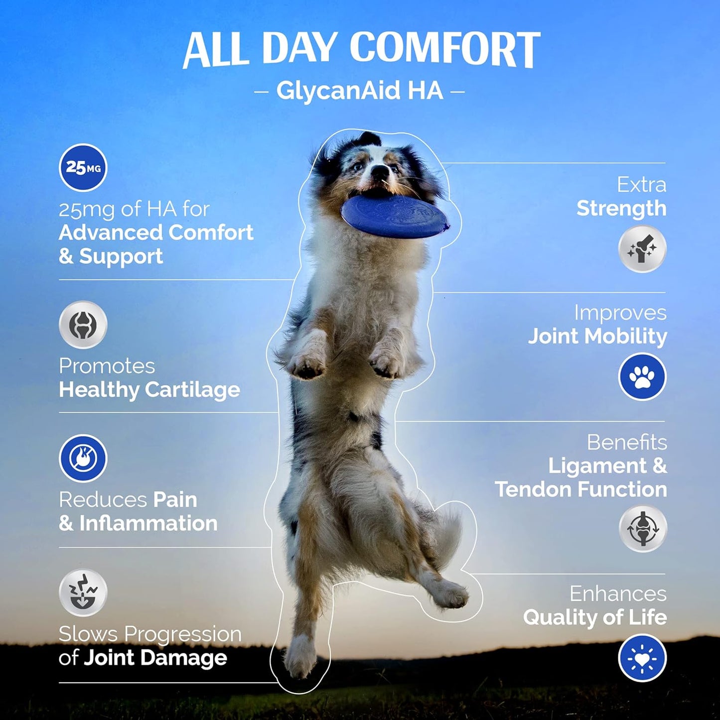 Glycanaid HA Advanced Joint Nutrition for Dogs (150 Chewable Tablets) Made in USA with USA Ingredients: Glucosamine HCL, Chondroitin, Hyaluronic Acid, MSM