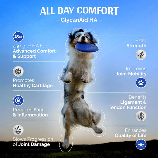 Glycanaid HA Advanced Joint Nutrition for Dogs (150 Chewable Tablets) Made in USA with USA Ingredients: Glucosamine HCL, Chondroitin, Hyaluronic Acid, MSM
