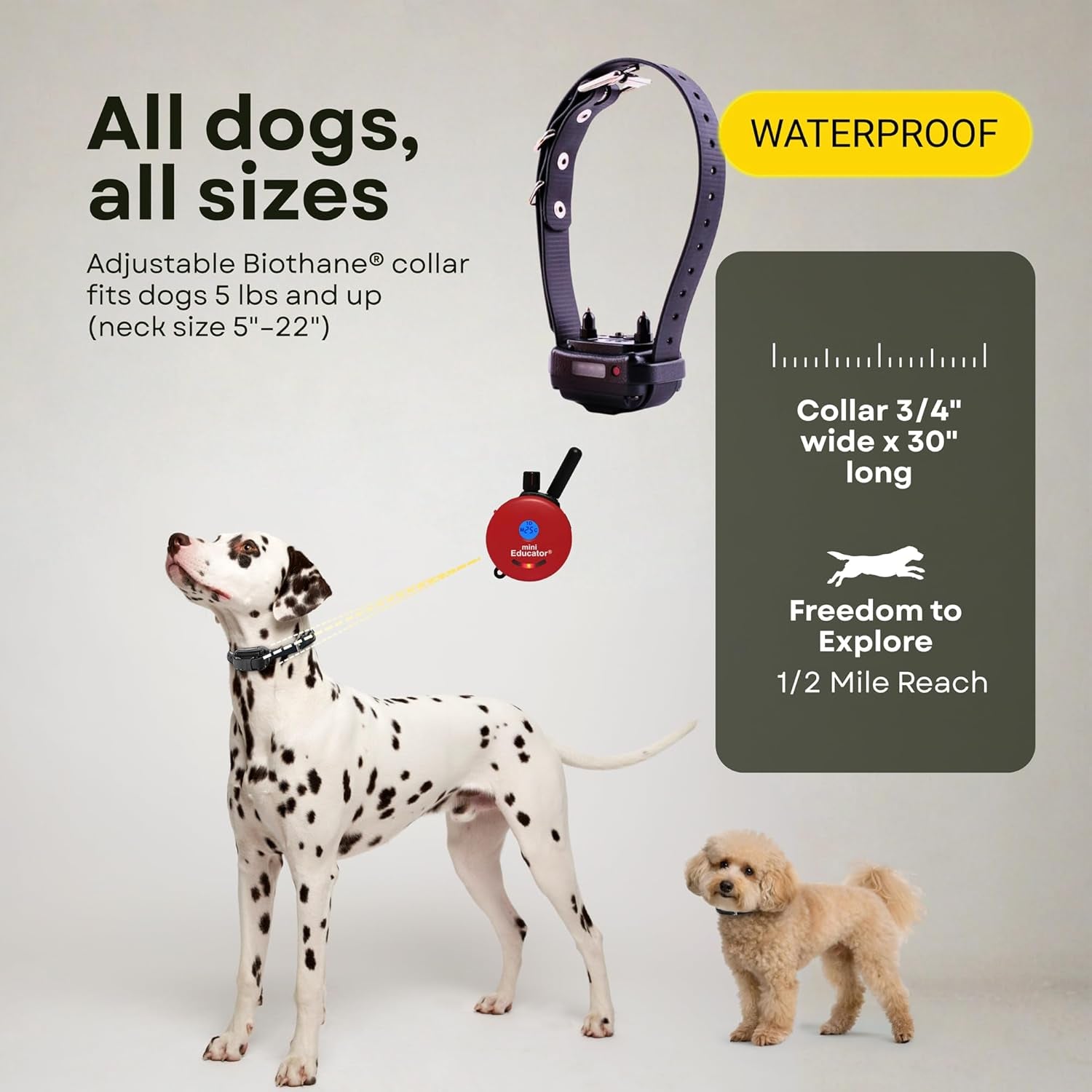 E-Collar ET-300 / ET-302 Dog Training Collar System with Remote - 1/2 Mile Range - Waterproof, Vibration, Sensation - Includes Eoutletdeals Pet Towel (1 Dog System - ET-300 RED)