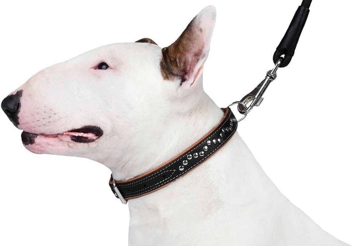 Studded Dog Collar Leather Pet Collars for Dogs Small Medium Large Puppy Soft Padded Brown Black (Brown, Neck Fit 17" - 19")