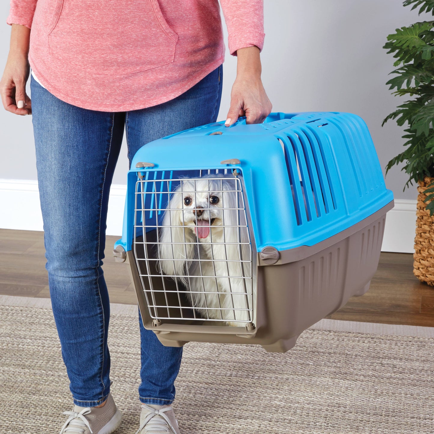 24 Inch Spree Travel Pet Carrier for Dog or Cat with Steel Door, Blue