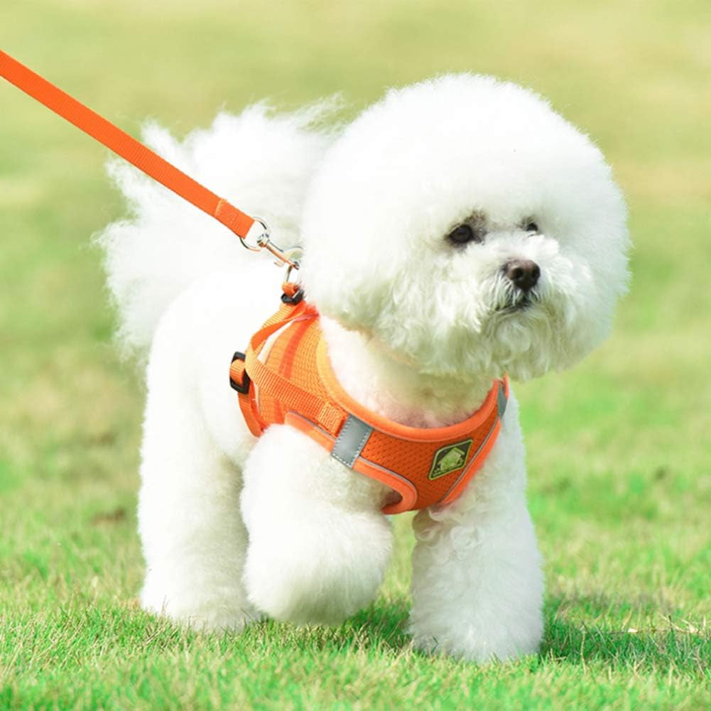 Dog Harness and Leash Set, No Pull Breathable Soft Mesh Puppy Vest Harness Reflective Adjustable Pet Harnesses for Small Medium Dogs and Cats - Outdoor Easy Control for Walking