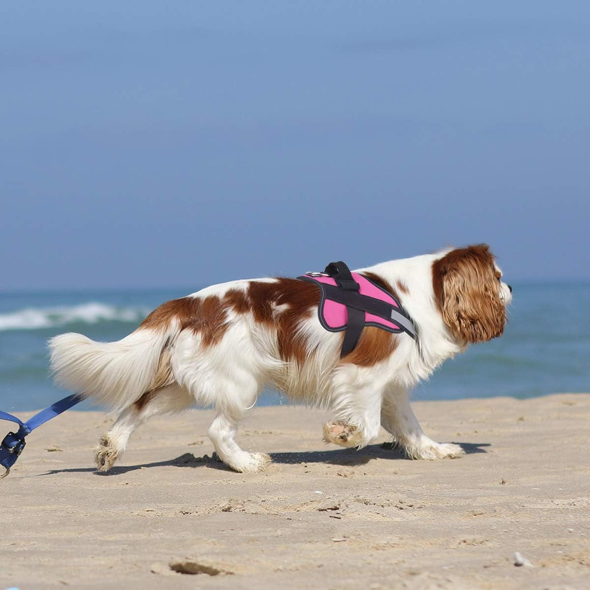 Dog Harness, No-Pull Reflective Dog Vest, Breathable Adjustable Pet Harness with Handle for Outdoor Walking - No More Pulling, Tugging or Choking (Rose Red, S)