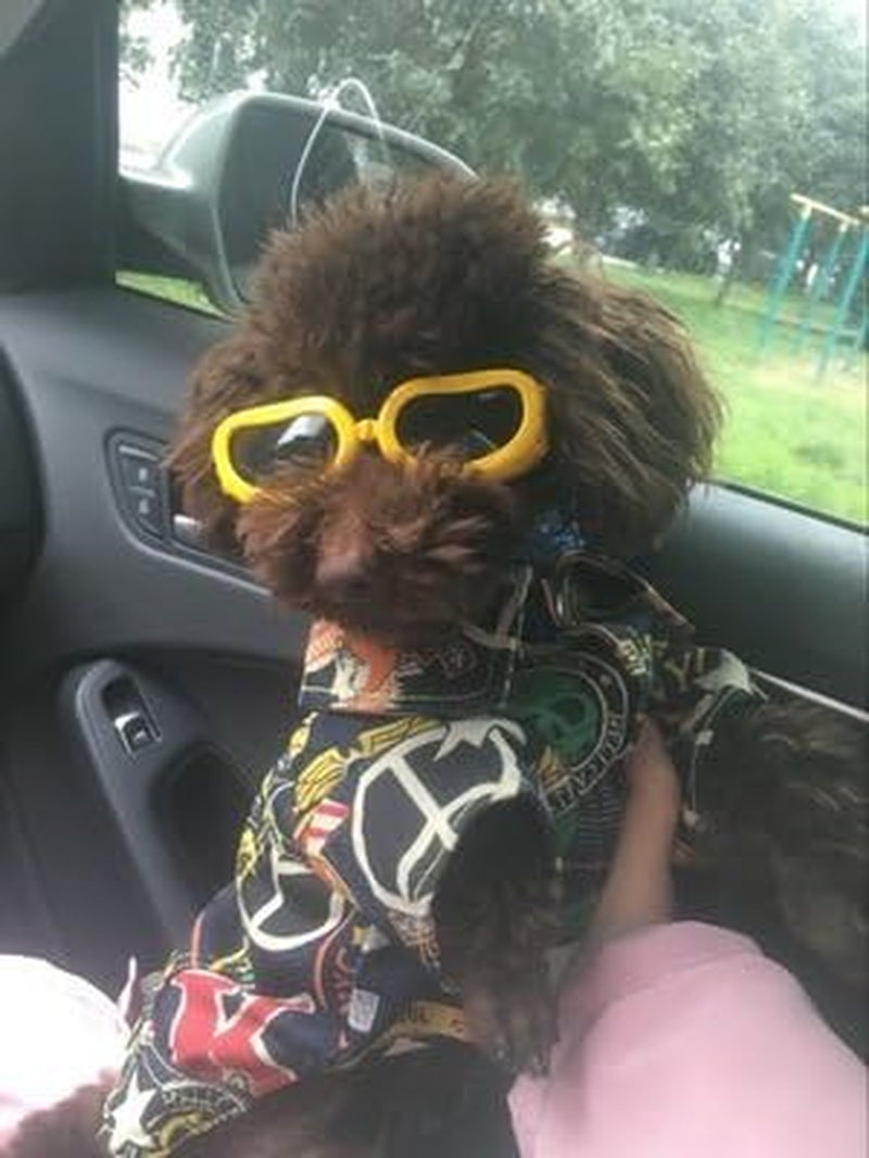 Outdoor Dog Sunglasses Anti-Uv Eye Protection Goggles Waterproof Windproof Anti-Fog for Small Pet Puppy Cat (Yellow)