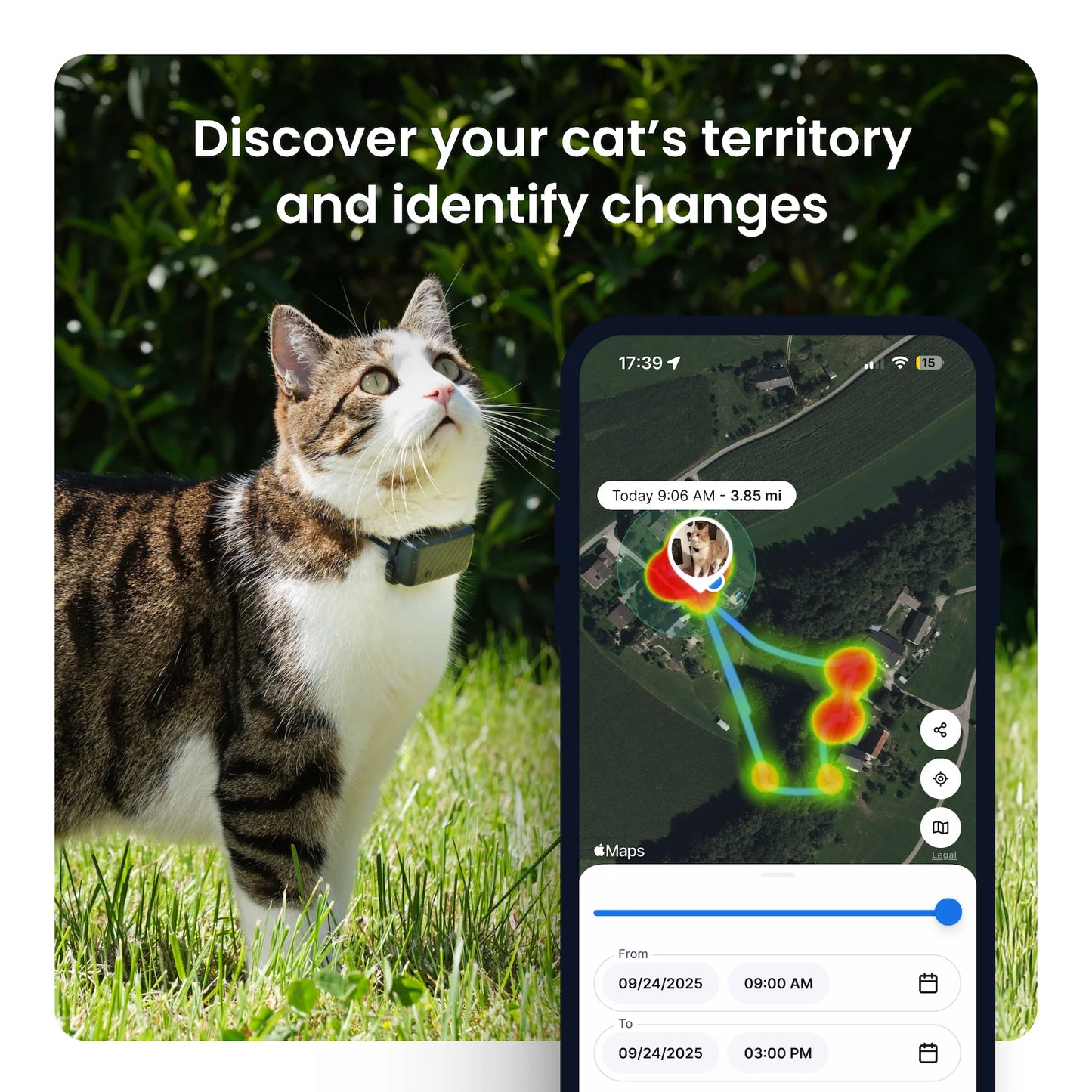 Cat Mini GPS Tracker with Activity Monitoring, Fits Any Collar (Brown)