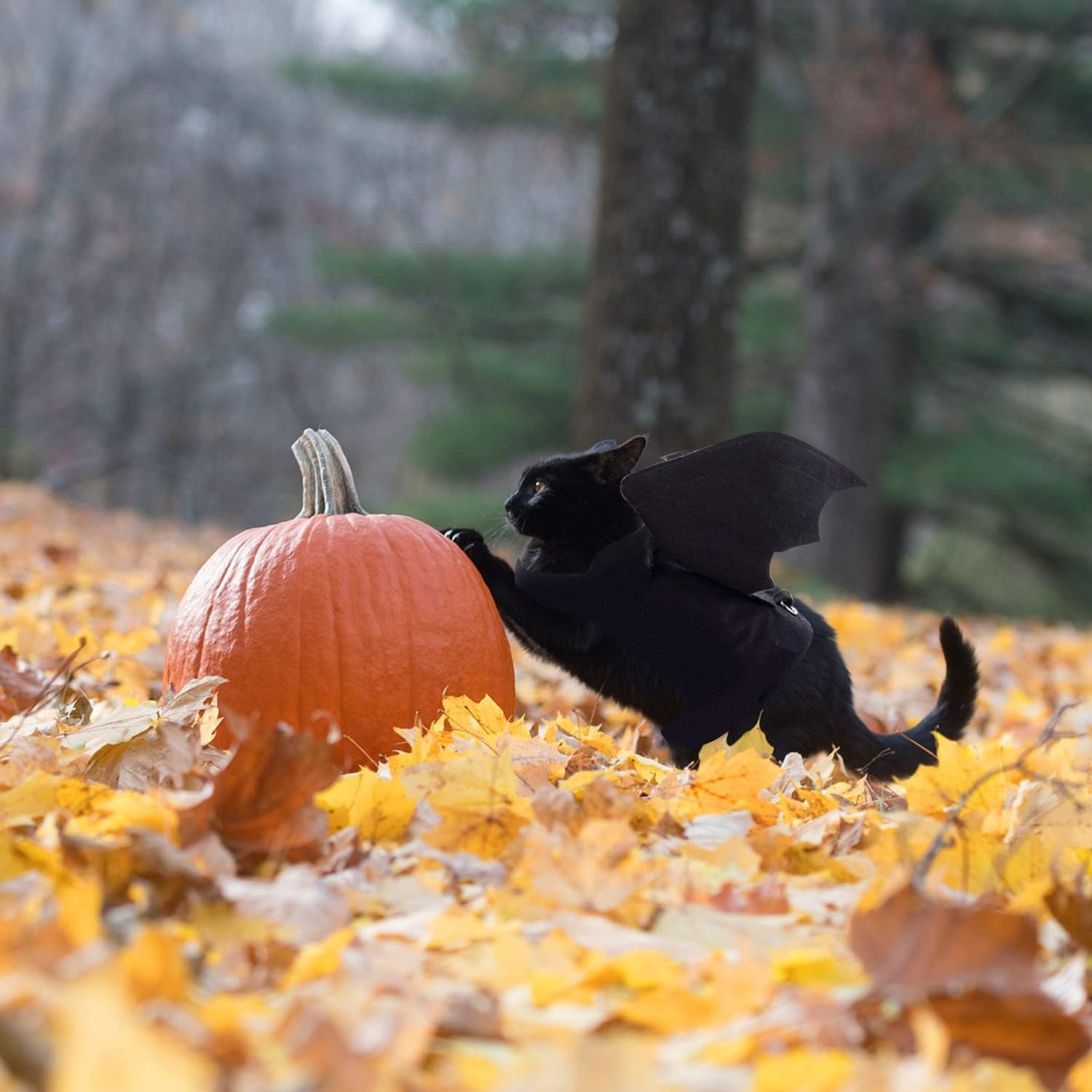 Bat Wings Pet Costume, Polyester Felt Cloth, Small, Halloween, Unisex, Durable, Easy to Clean, Bat Wings Costume for Small Dogs Cats